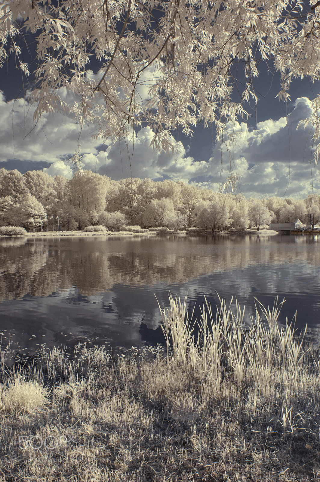 Nikon D70s sample photo. Infrared landscape photography
