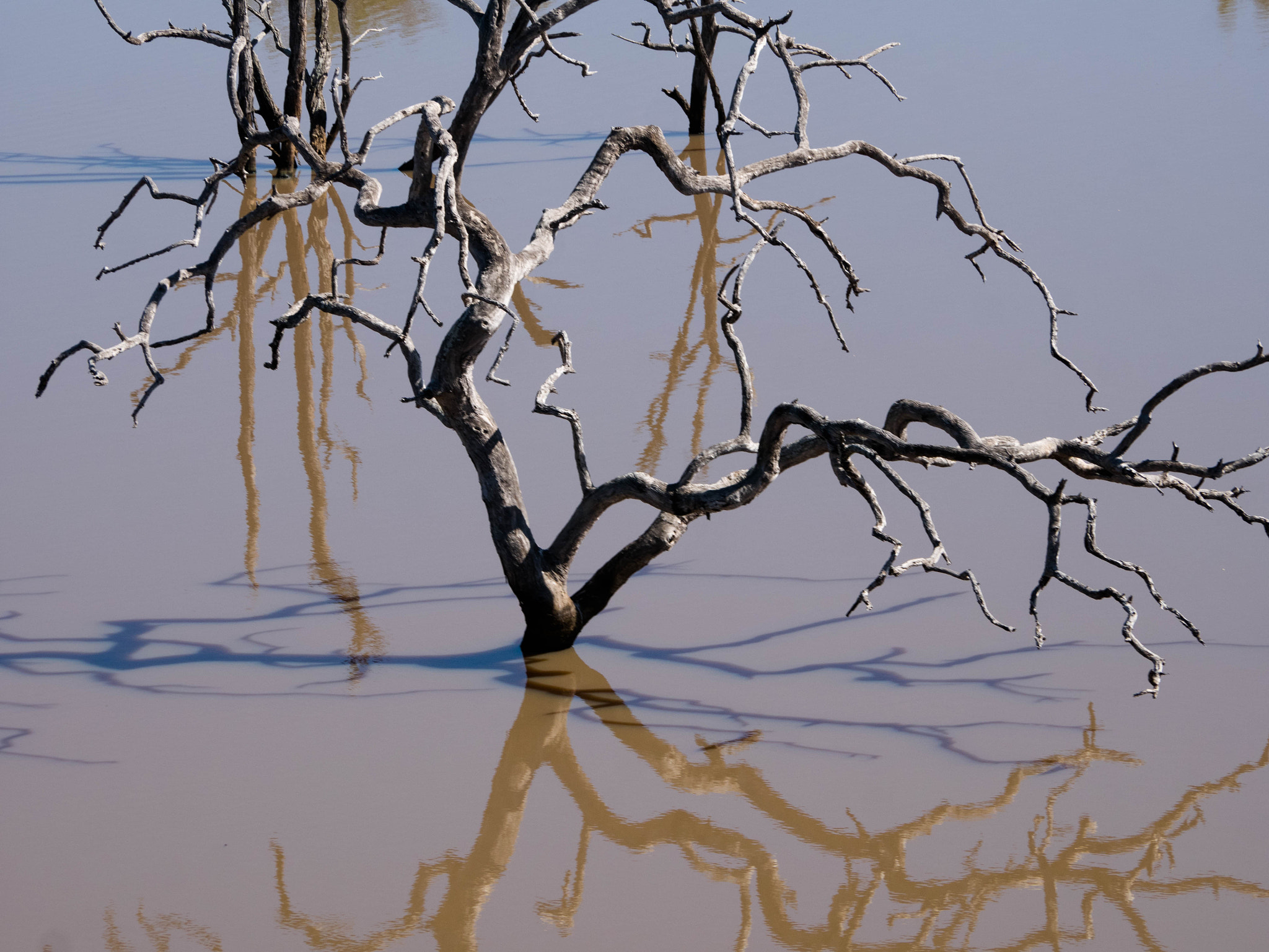 Panasonic Lumix G Vario 45-200mm F4-5.6 OIS sample photo. Shadows & reflections photography