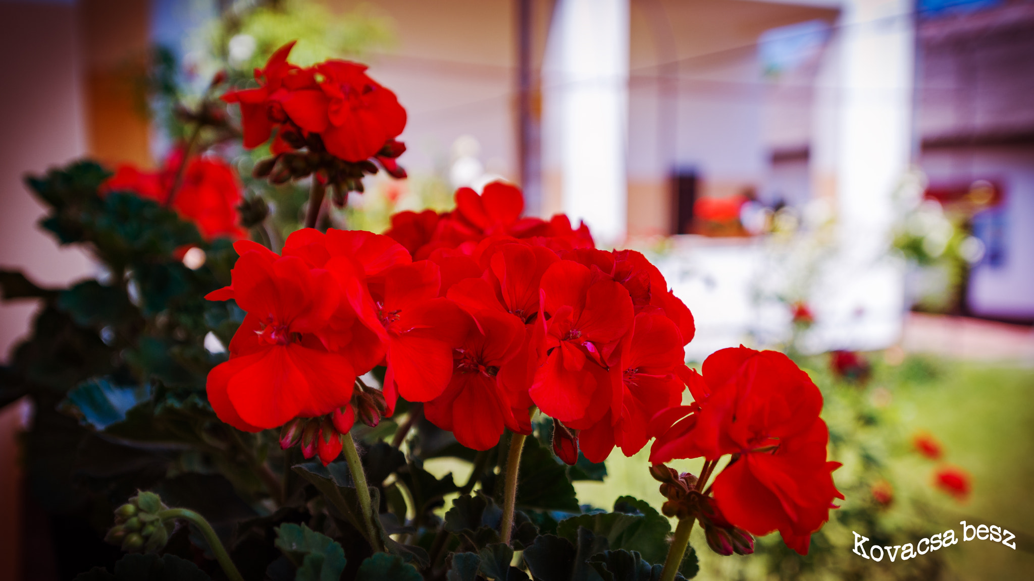 Nikon AF-S Nikkor 14-24mm F2.8G ED sample photo. Spring photography