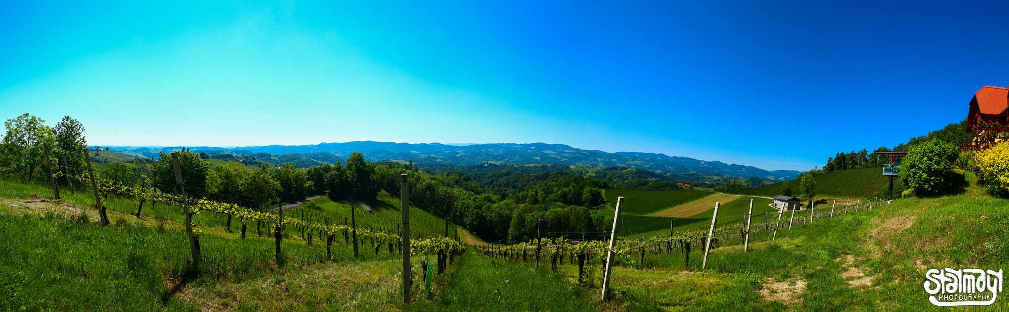 Canon EOS 650D (EOS Rebel T4i / EOS Kiss X6i) + Tamron AF 18-200mm F3.5-6.3 XR Di II LD Aspherical (IF) Macro sample photo. Vineyard #2 photography