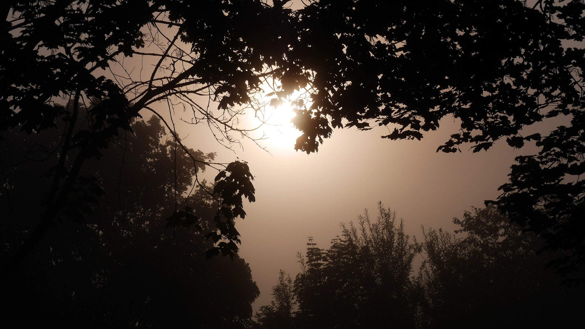 Panasonic Lumix DMC-GH3 sample photo. Foggy days - finding the light photography