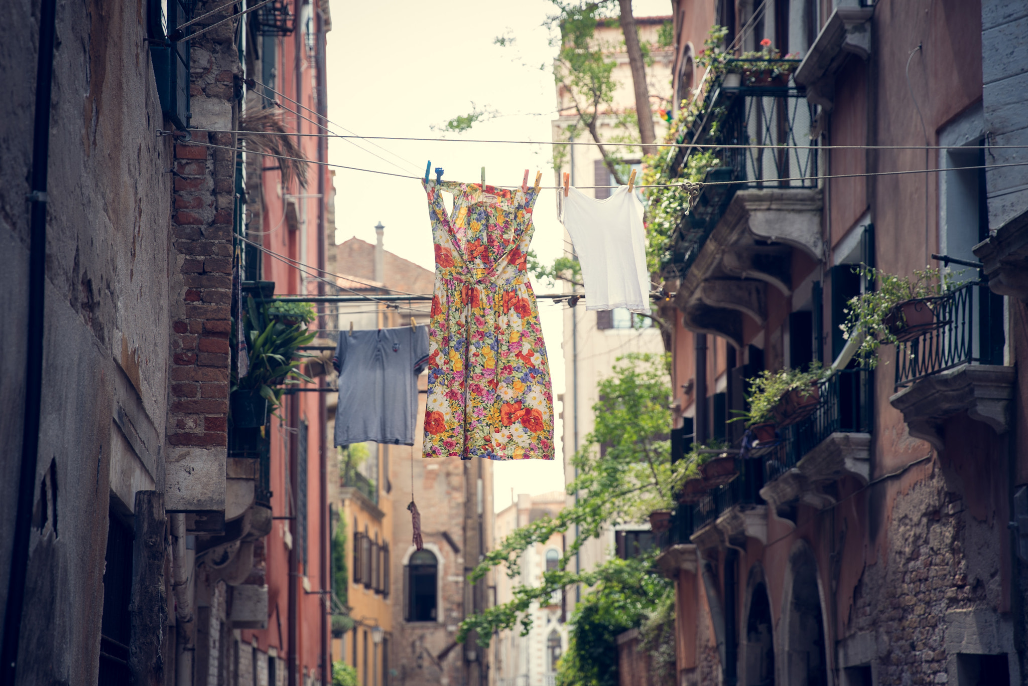 Sony a7S sample photo. Street of venice photography