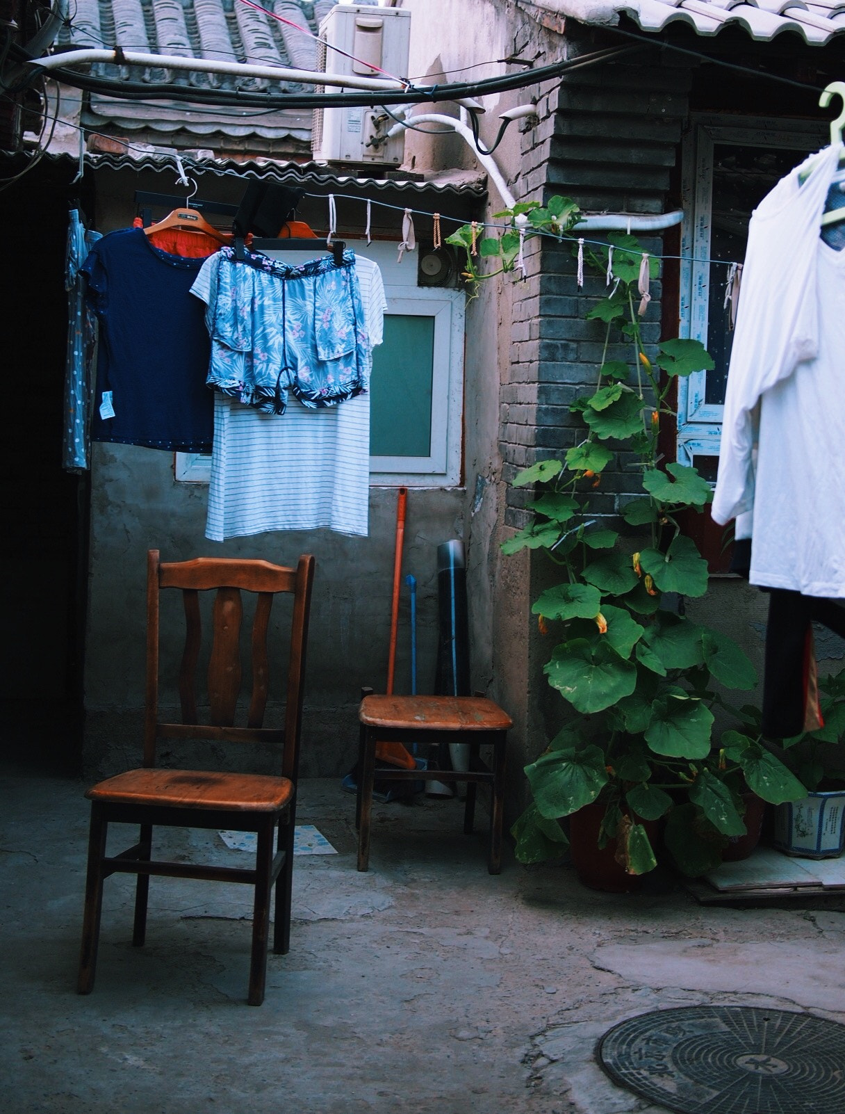 Olympus PEN E-P5 + Panasonic Lumix G 20mm F1.7 ASPH sample photo