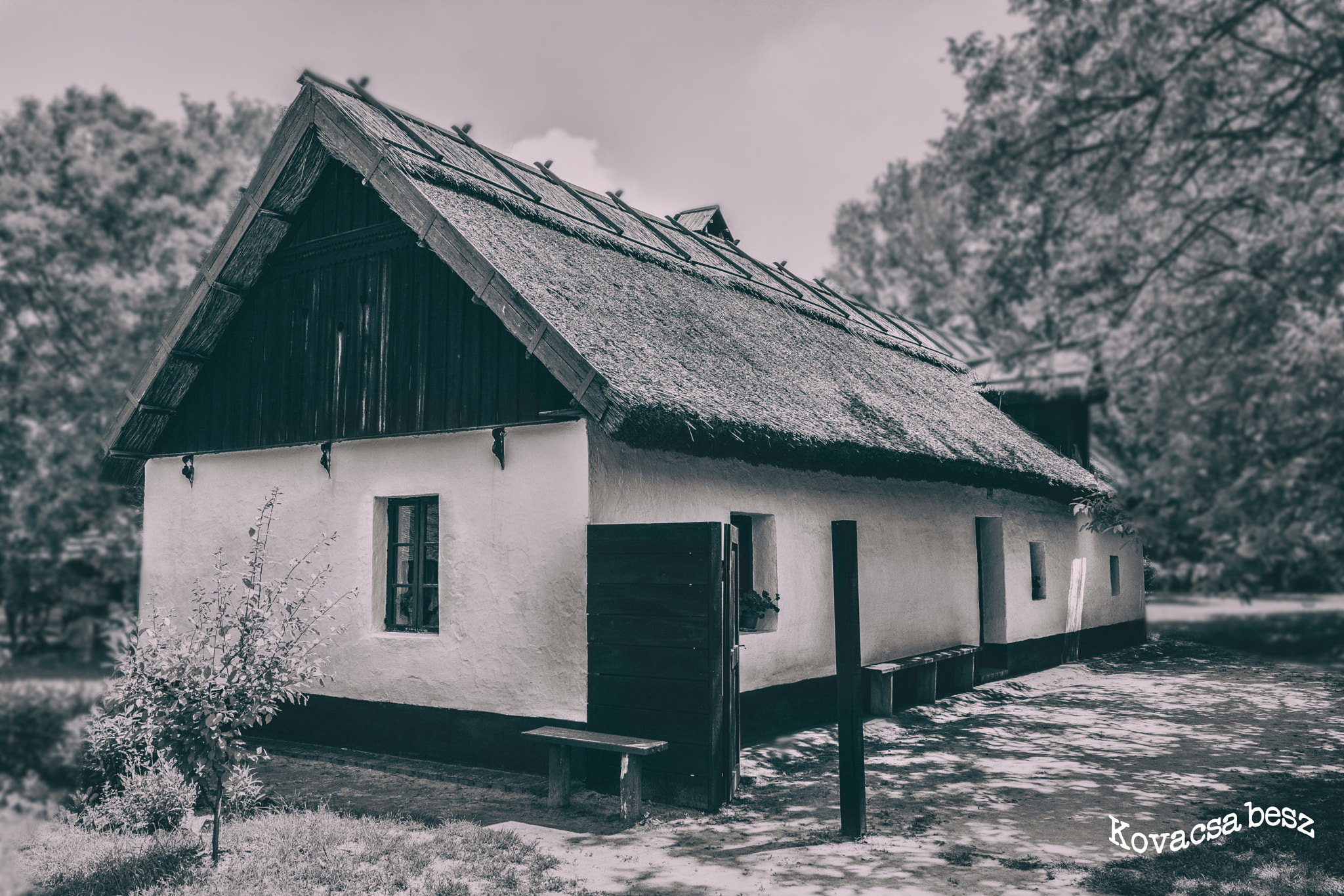 Nikon AF-S Nikkor 14-24mm F2.8G ED sample photo. An old house photography