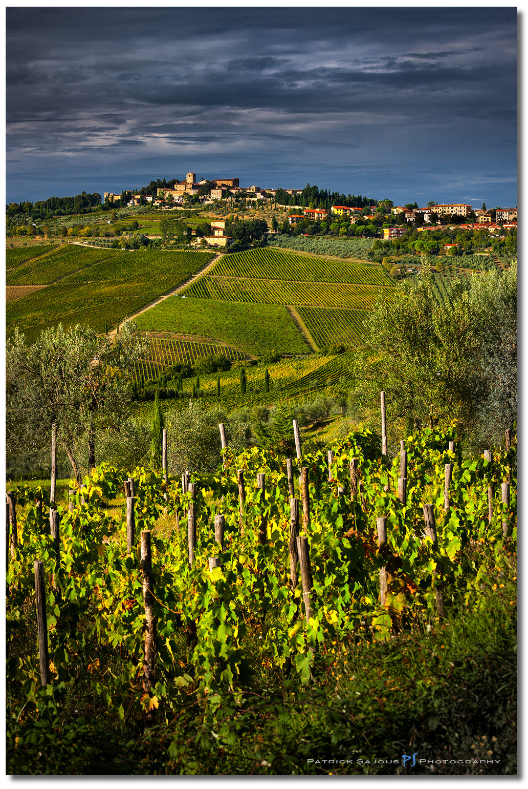 Canon EOS-1Ds Mark III sample photo. Vignoble toscan photography
