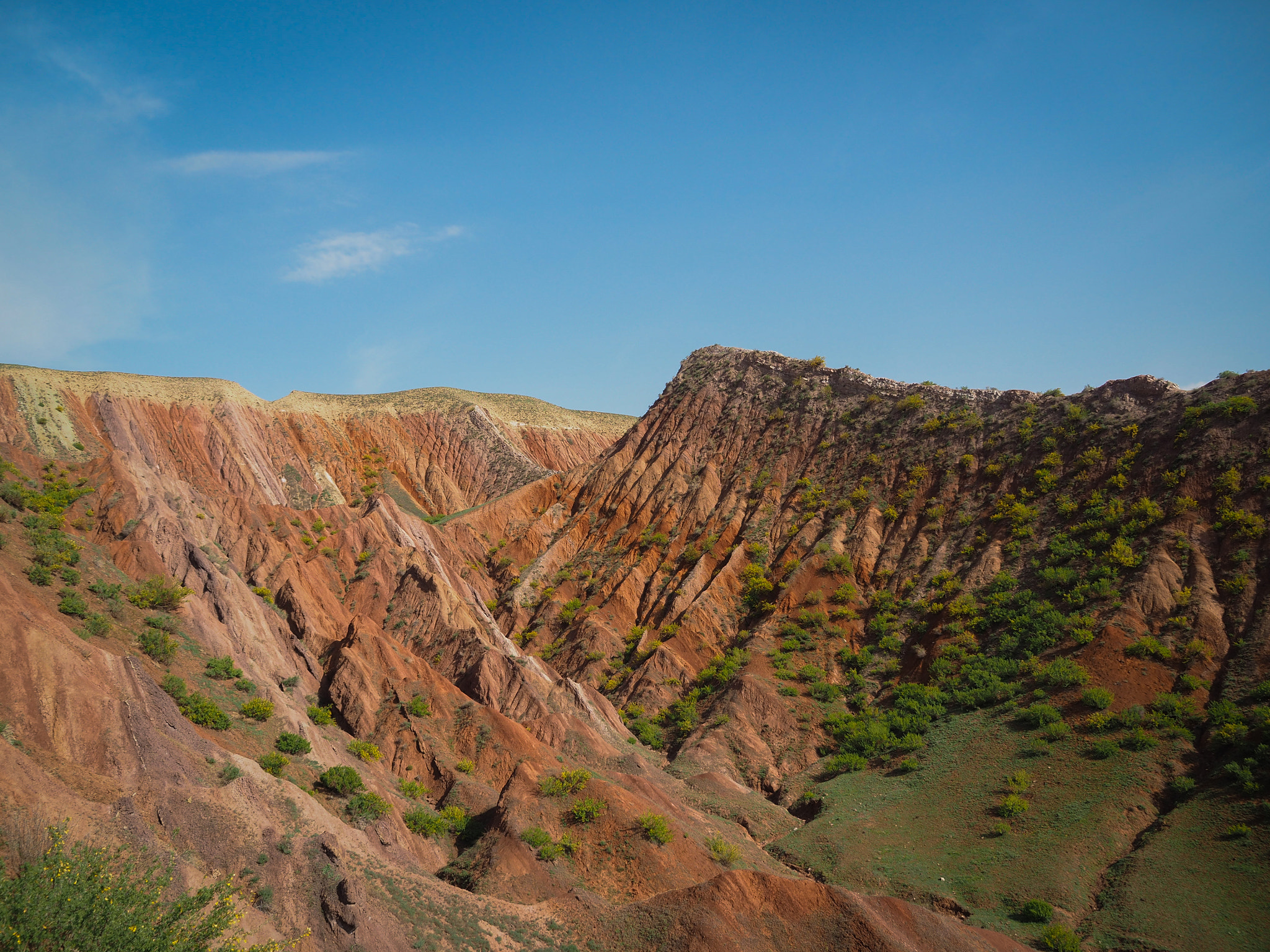 Olympus OM-D E-M5 II sample photo. Blue skies, red earth photography