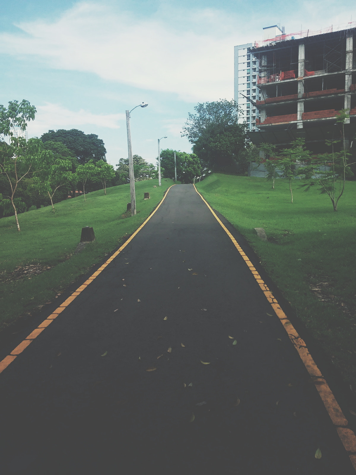 LG G2 MINI sample photo. Nature in the city #1 photography