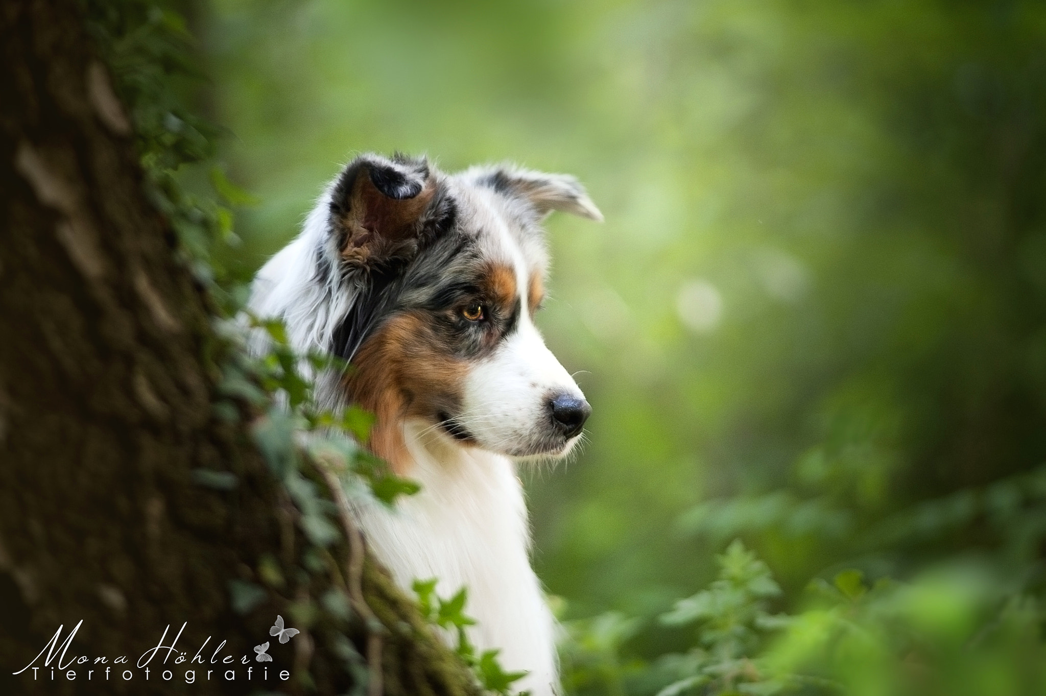 Nikon D3 + Nikon AF Nikkor 180mm F2.8D ED-IF sample photo. Hiding photography