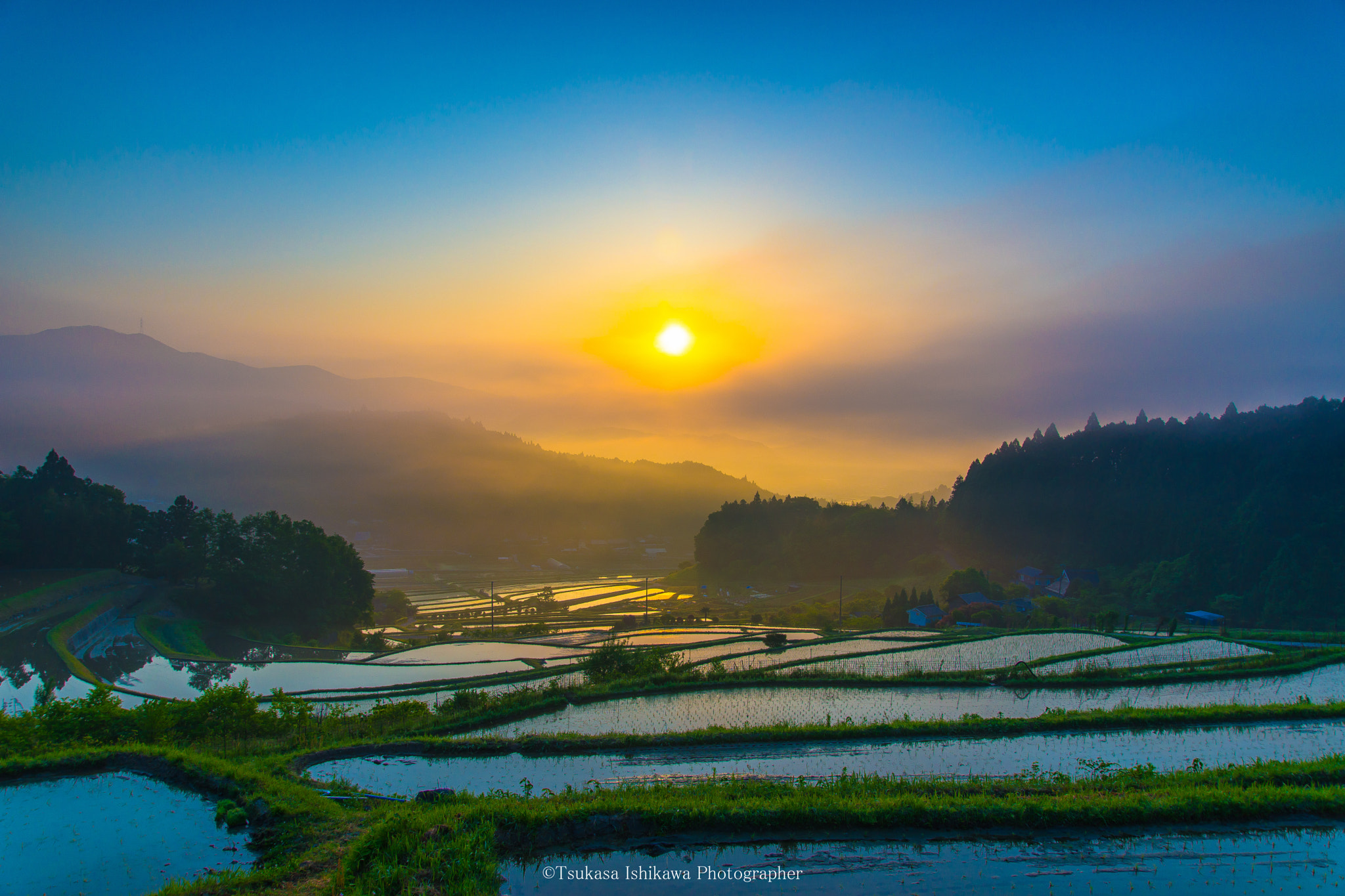 Sony a99 II + 24-105mm F4 sample photo. Terraced rice fields photography