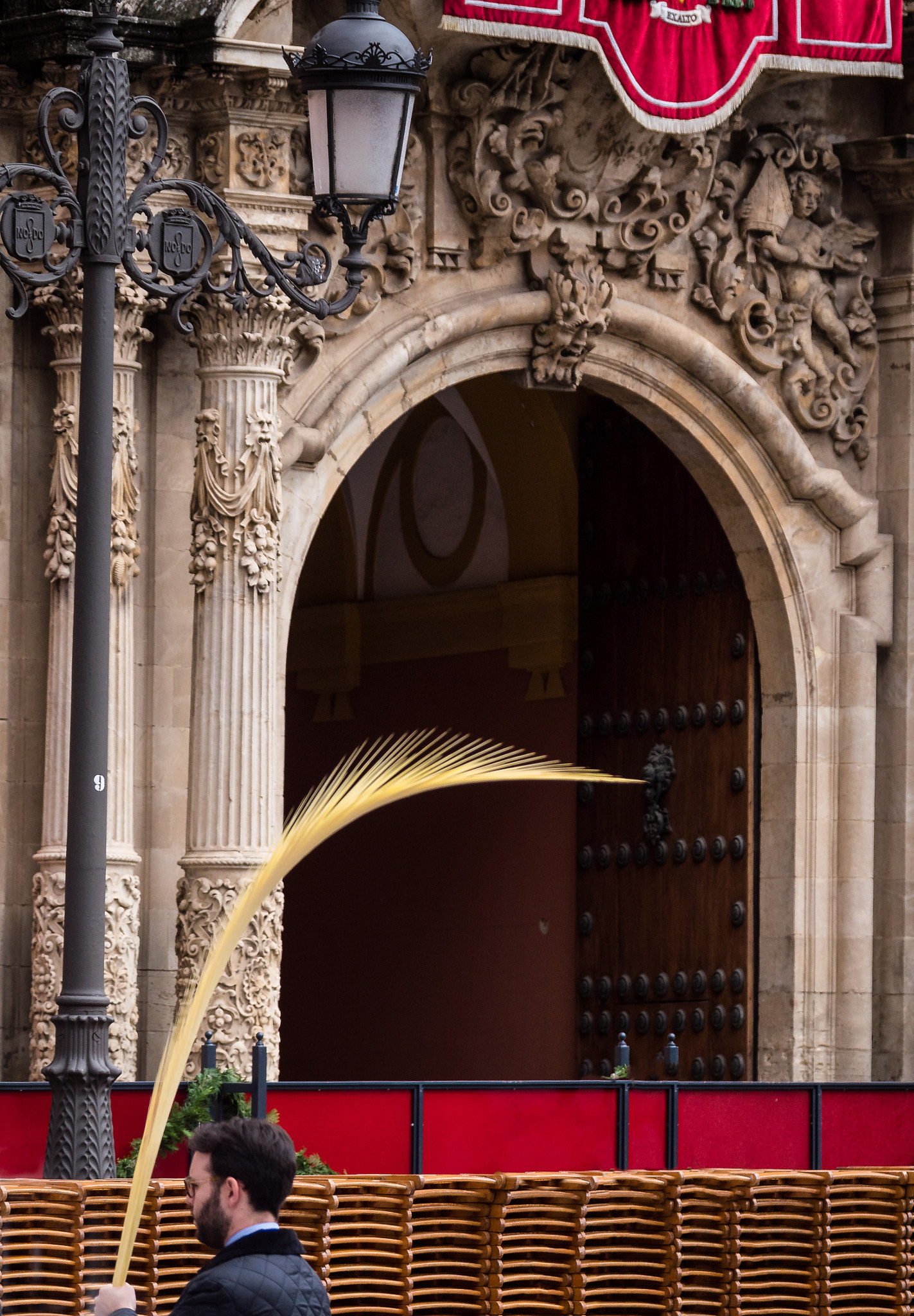 Panasonic Lumix DMC-GX8 sample photo. Palm sunday photography