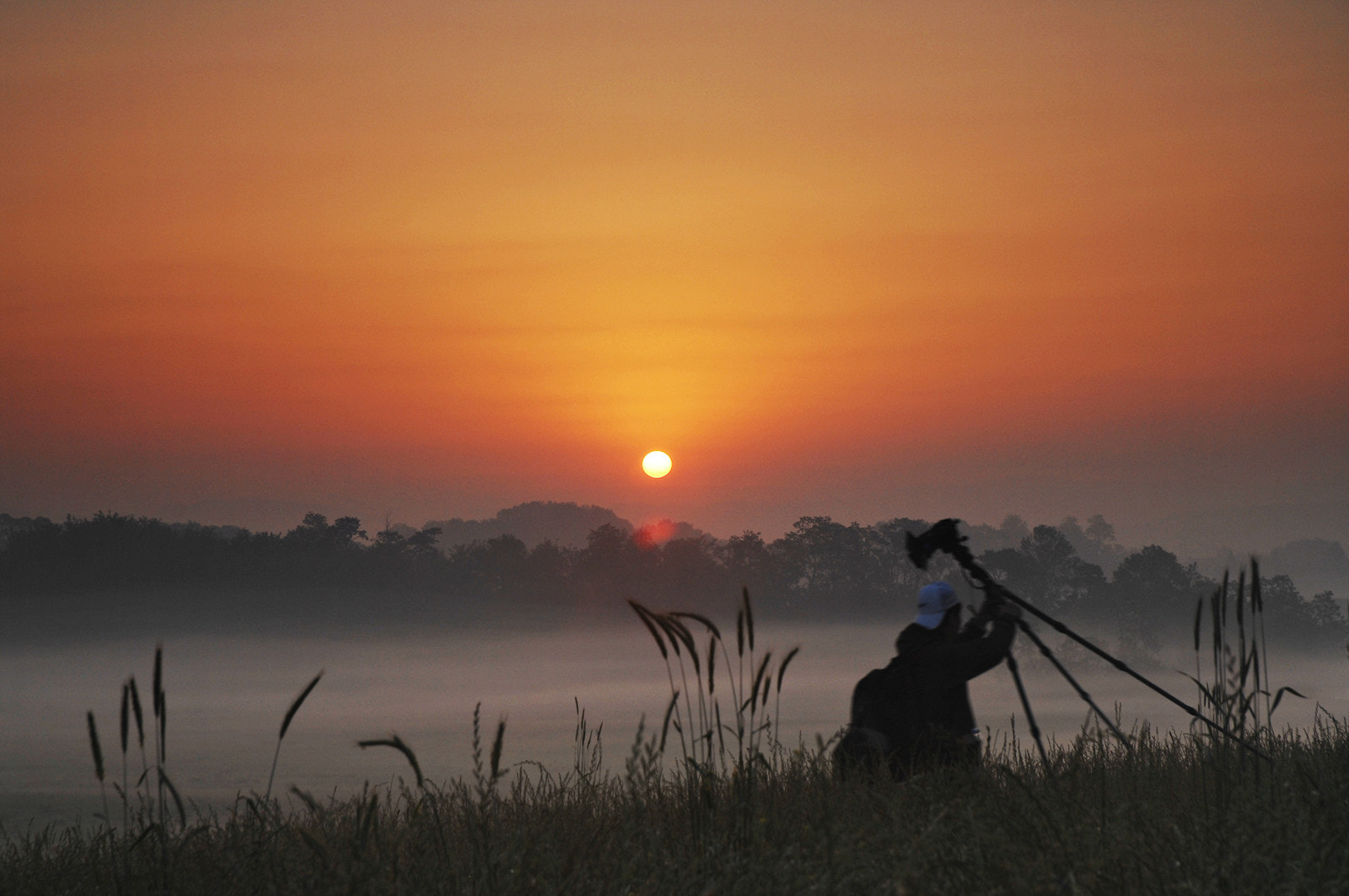 Nikon D2Xs sample photo. Good-bye sun~!! photography