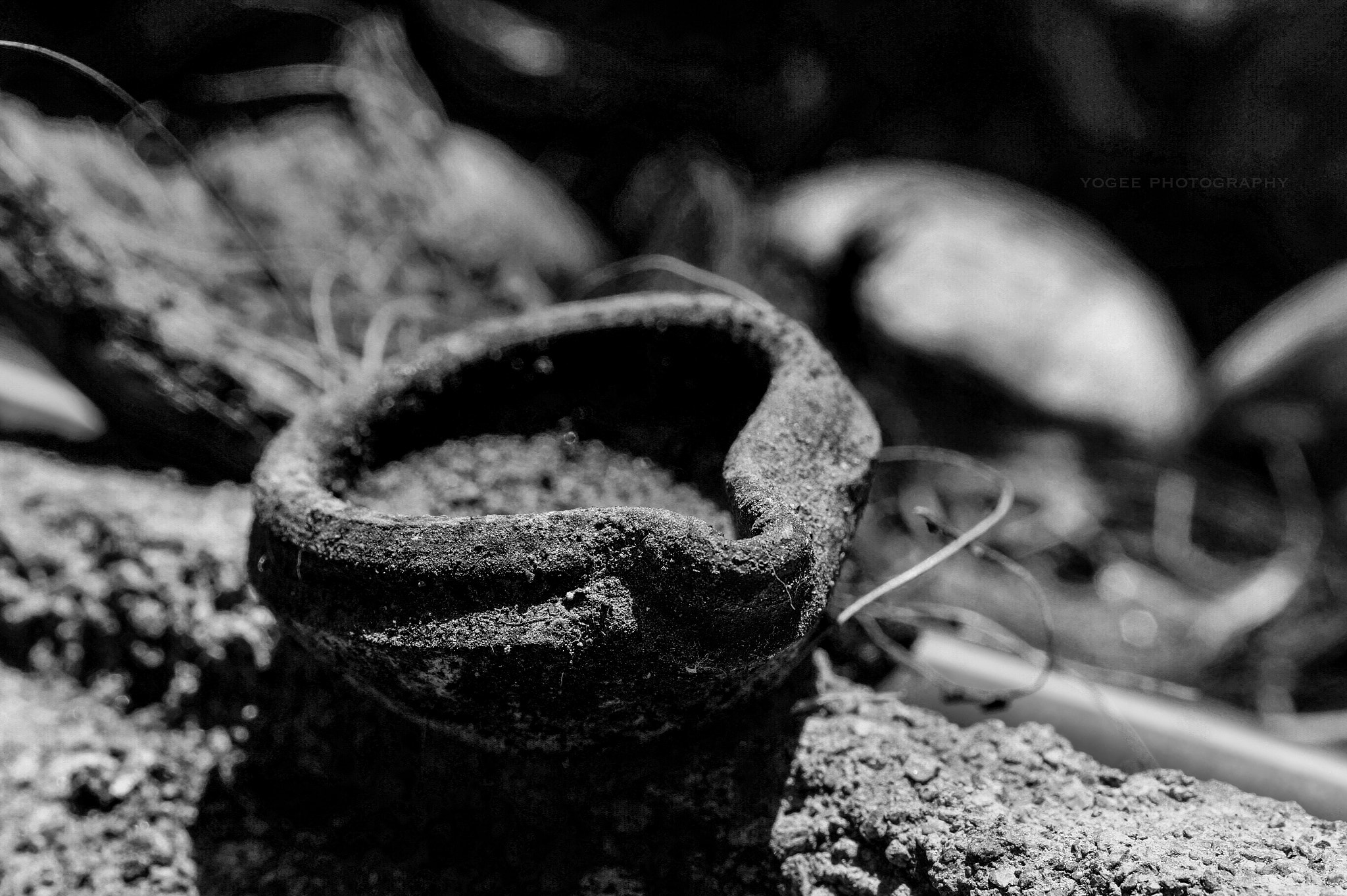 Sony SLT-A58 + Sony DT 30mm F2.8 Macro SAM sample photo