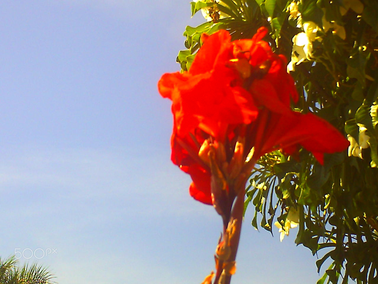 Syntek USB Camera sample photo. � photography