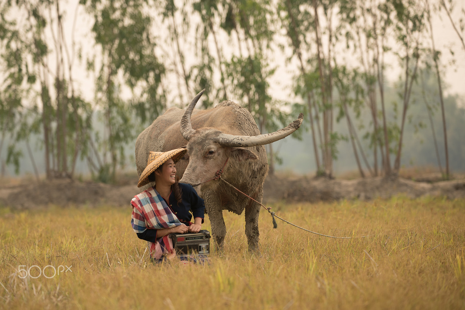 AF-S Zoom-Nikkor 80-200mm f/2.8D IF-ED sample photo. Asian young lady sit beside buffalo and hold radio in hand. photography