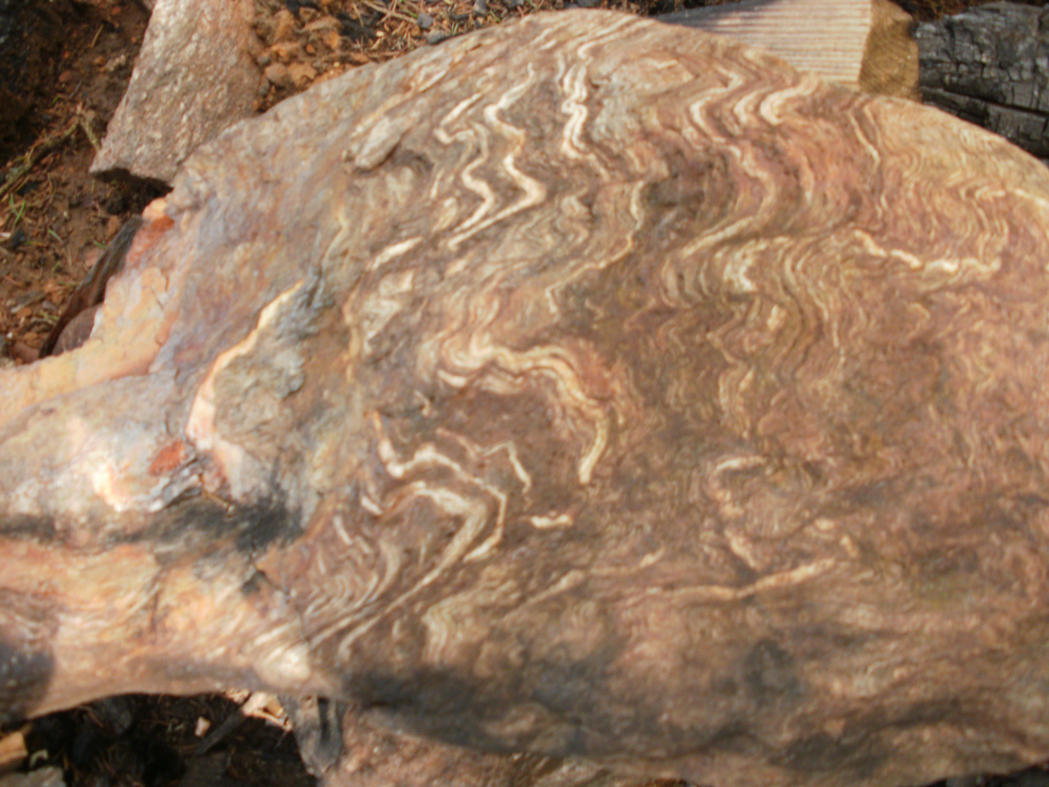 Olympus FE46,X41,X42 sample photo. Magmatic rock photography