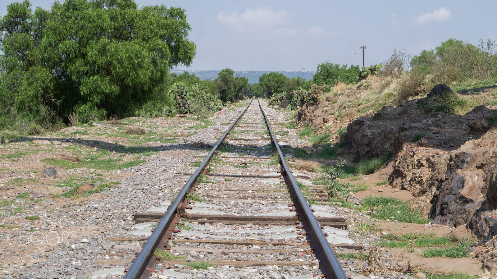 Sony Alpha a3500 sample photo. Train? photography