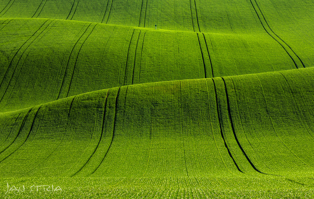 Canon EF 70-300mm F4-5.6L IS USM sample photo. Spring waves photography