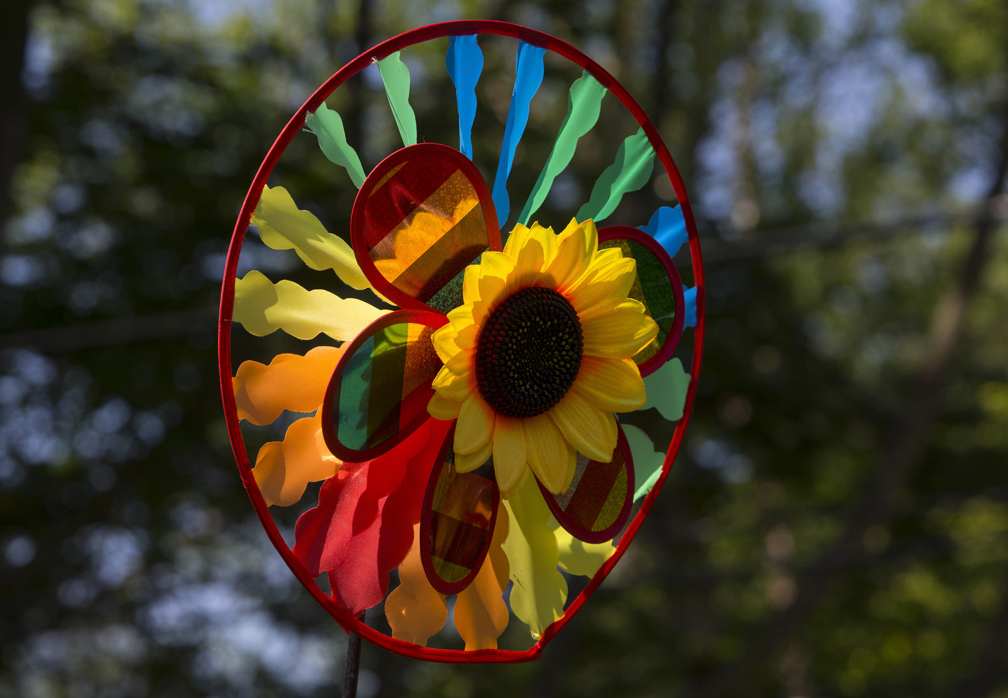 Canon EOS-1D X sample photo. Spinner photography