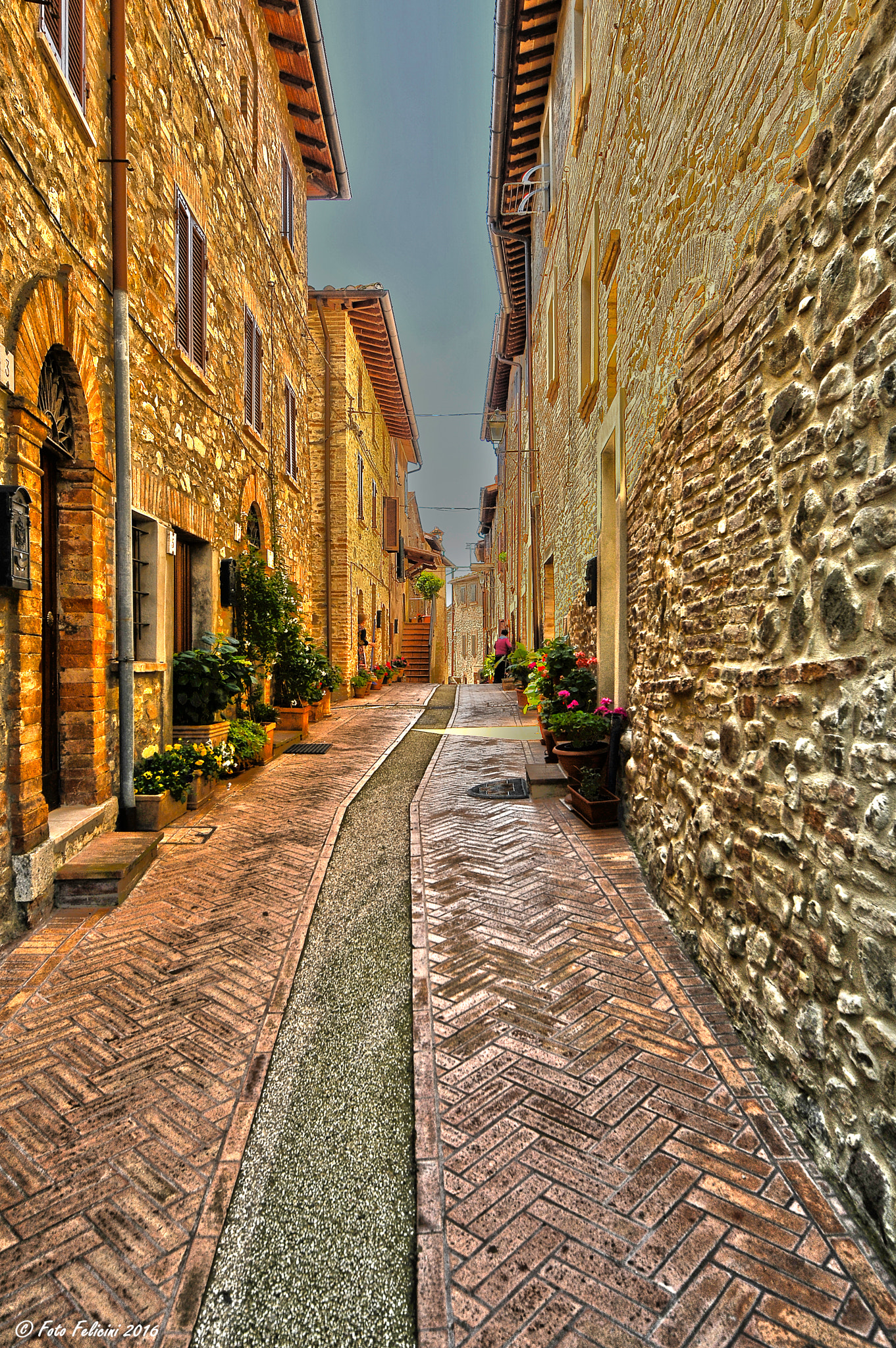 Sigma 8-16mm F4.5-5.6 DC HSM sample photo. Piedicolle photography