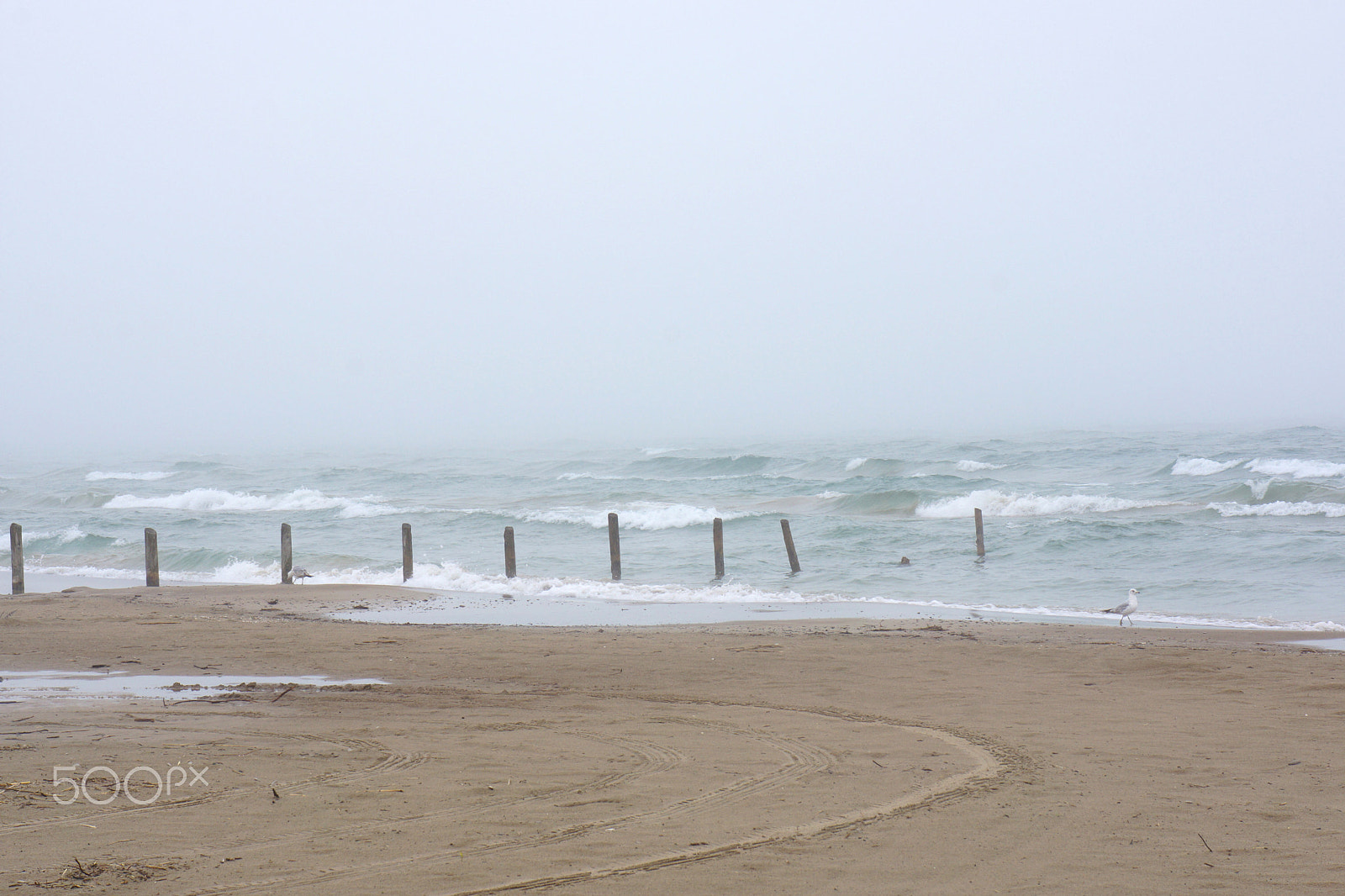 Sony E 18-55mm F3.5-5.6 OSS sample photo. Beach mist photography