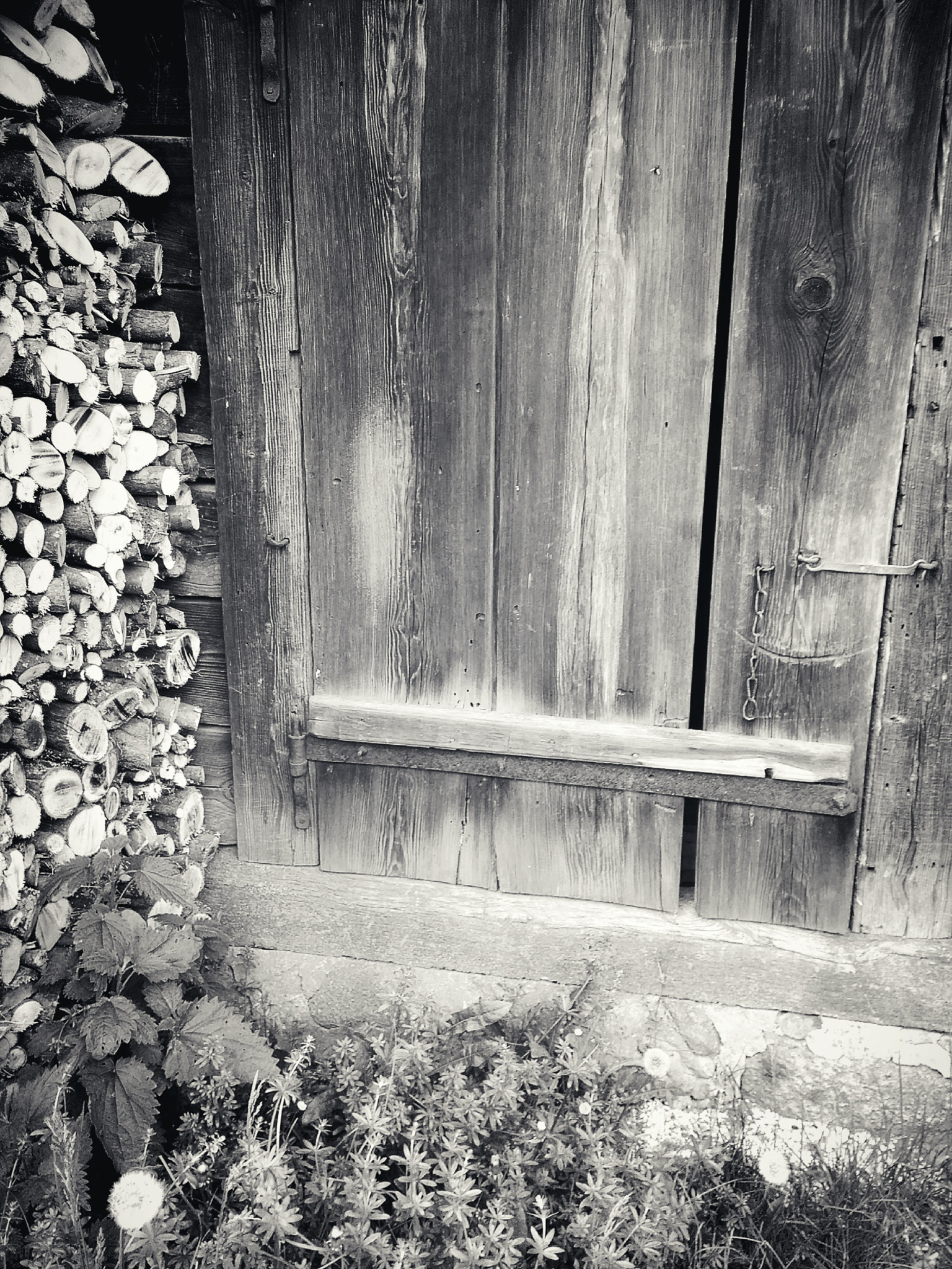 HUAWEI G620S-L01 sample photo. Door photography
