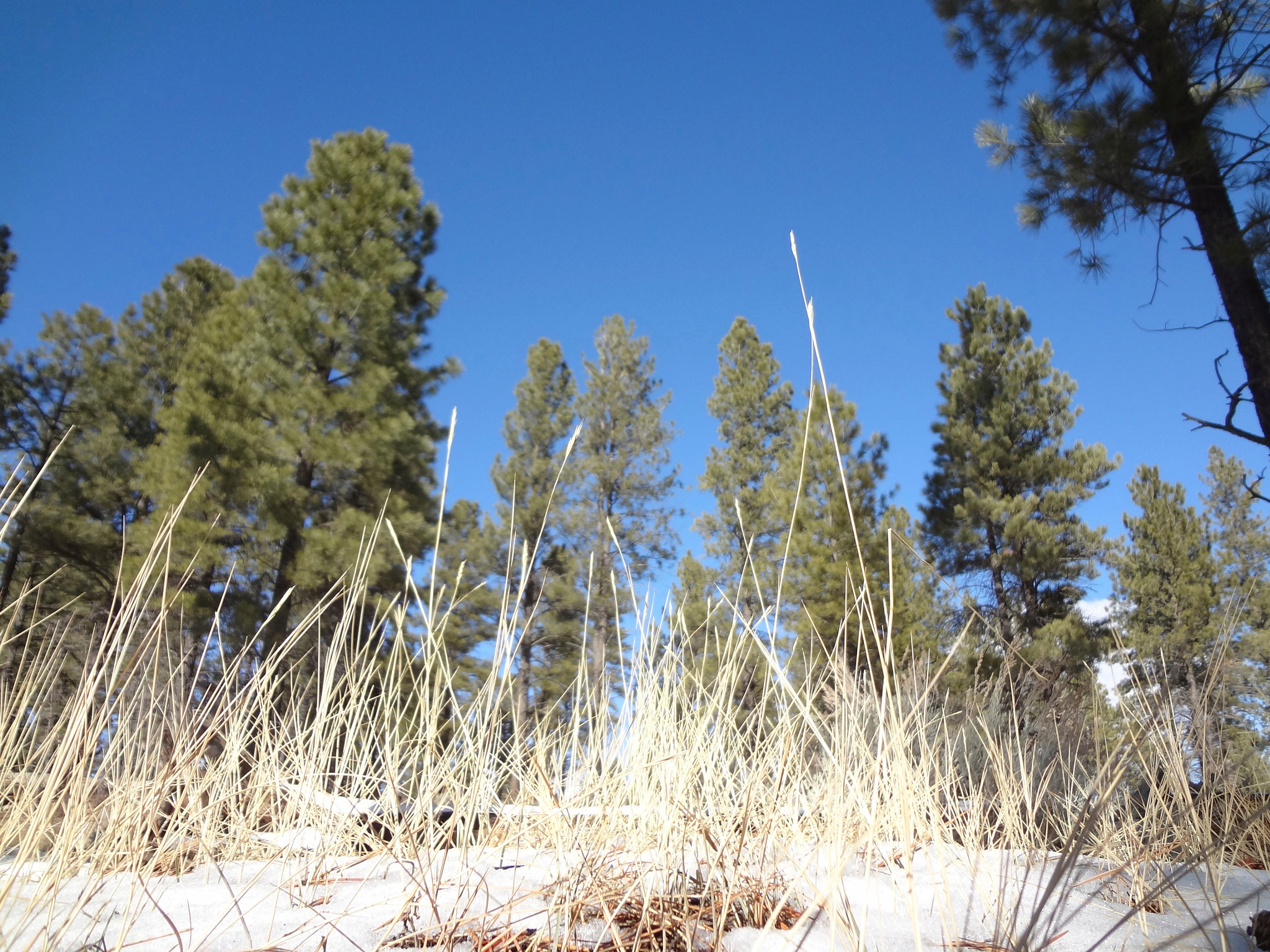 Sony DSC-WX9 sample photo. Grond canyon photography
