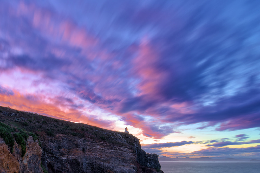 Nikon D810 + Nikon PC-E Nikkor 24mm F3.5D ED Tilt-Shift sample photo. Otago peninsula photography