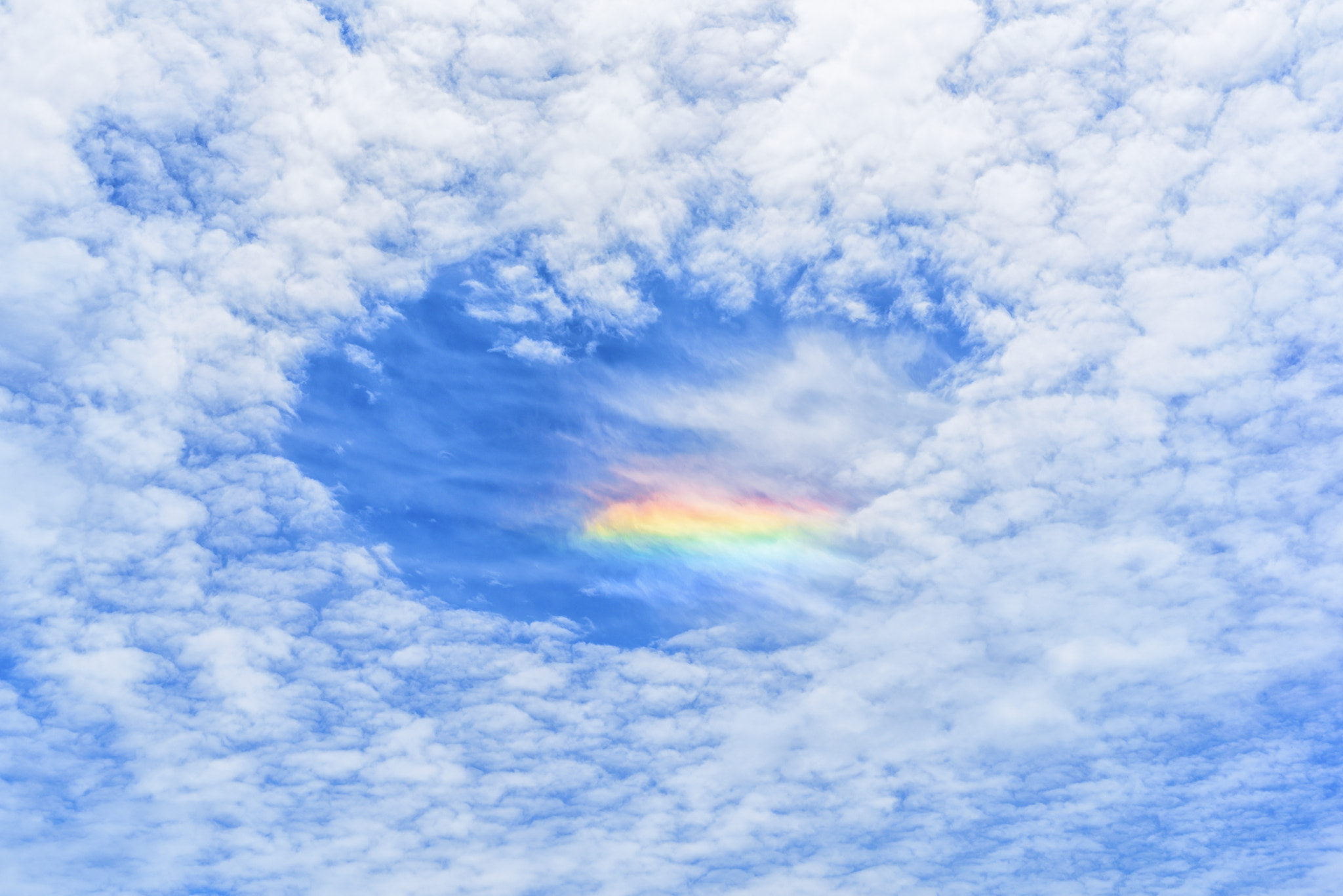 ZEISS Milvus 50mm F1.4 sample photo. Cloud iridescence at point reyes national seashore photography