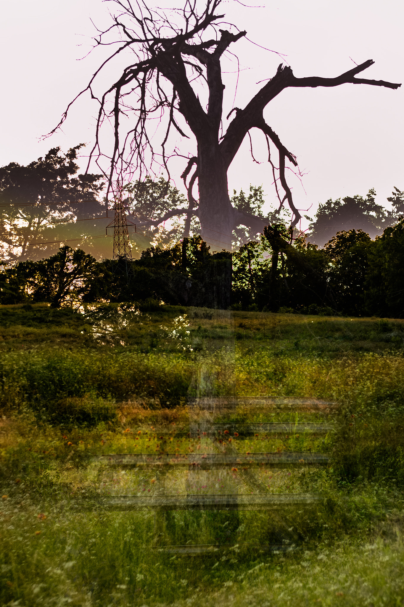 Nikon D7100 + AF Zoom-Nikkor 35-70mm f/2.8D sample photo. The gate to nature's beauty photography