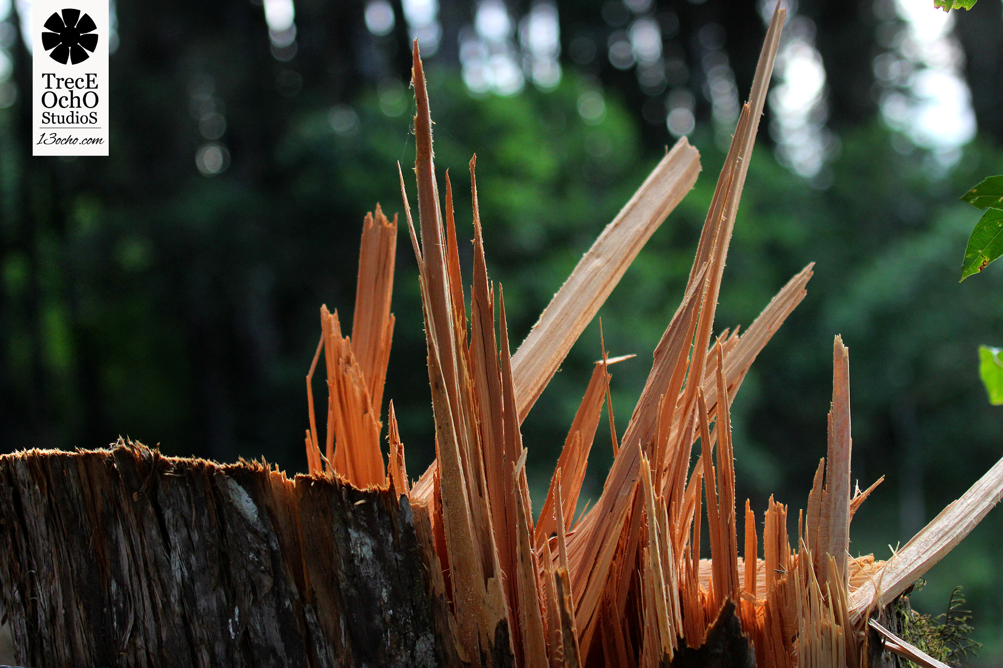 Canon EF 35-350mm F3.5-5.6L USM sample photo. Humans photography