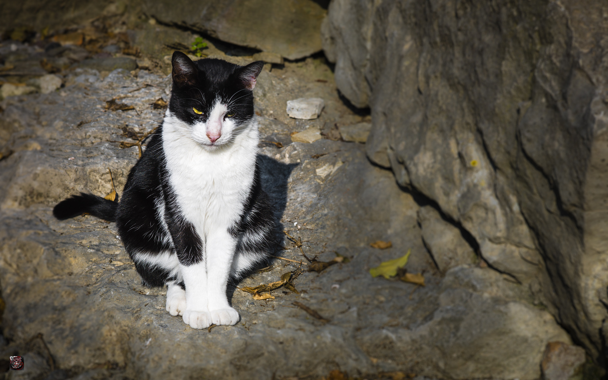 Leica APO-Summicron-M 90mm F2 ASPH sample photo. North italy: bergamo impressions - soft facts - welcome to città alta photography