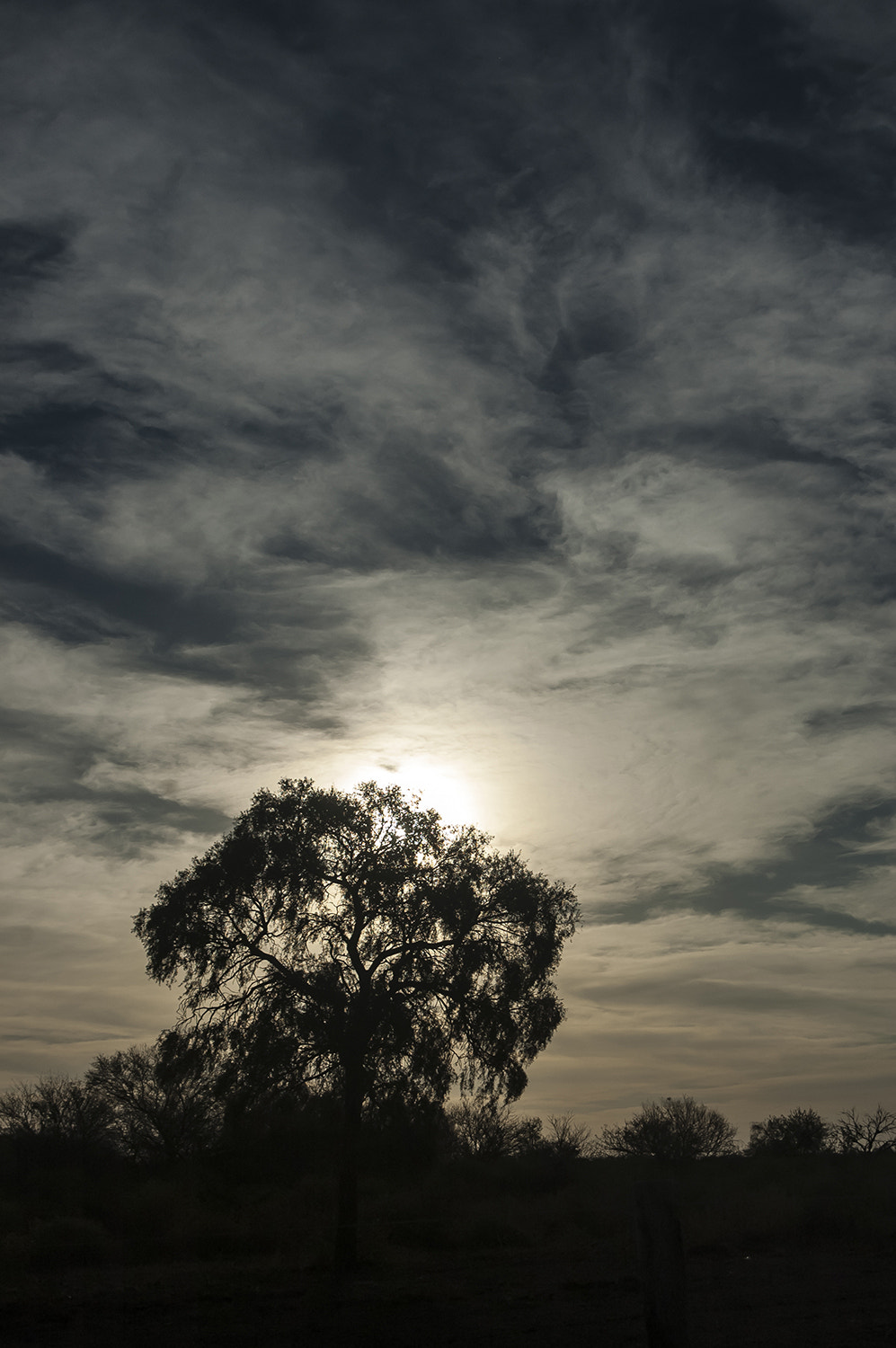 Nikon D70s sample photo. Atardecer en maco photography