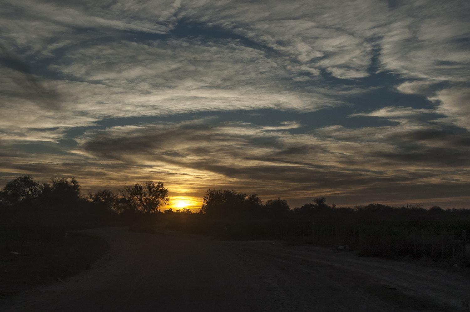 Nikon D70s sample photo. Atardecer camino al río photography