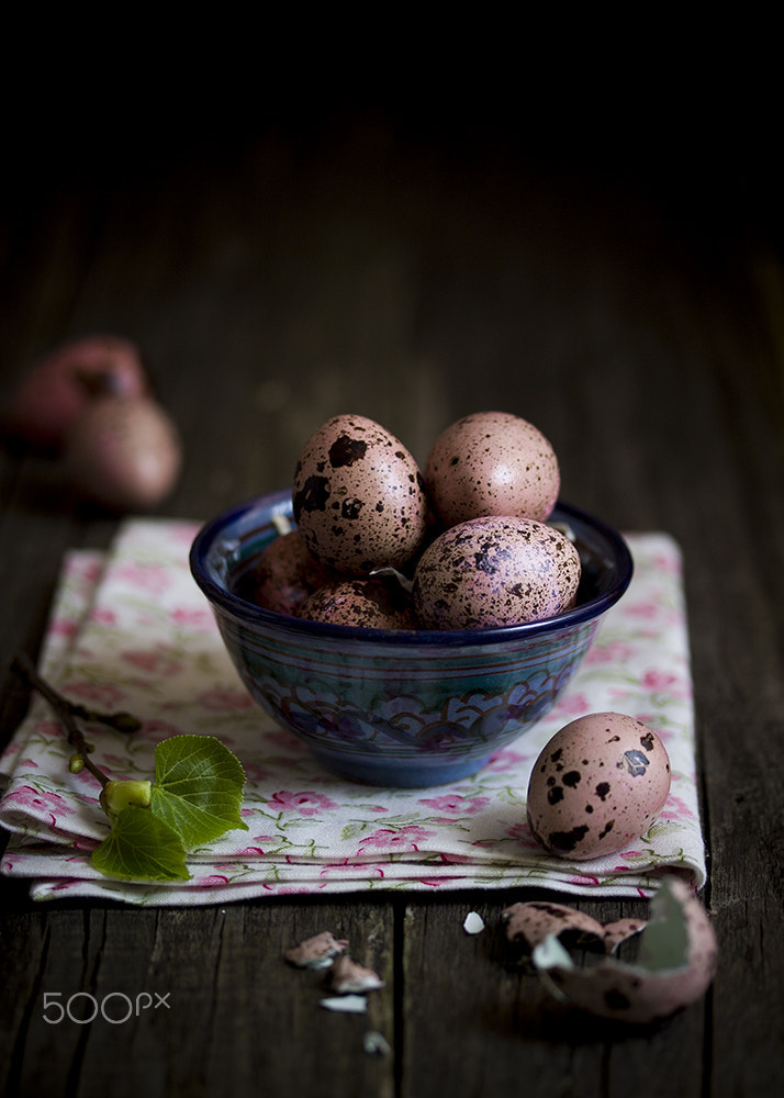 Canon EF-S 60mm F2.8 Macro USM sample photo. Pastel easter eggs photography