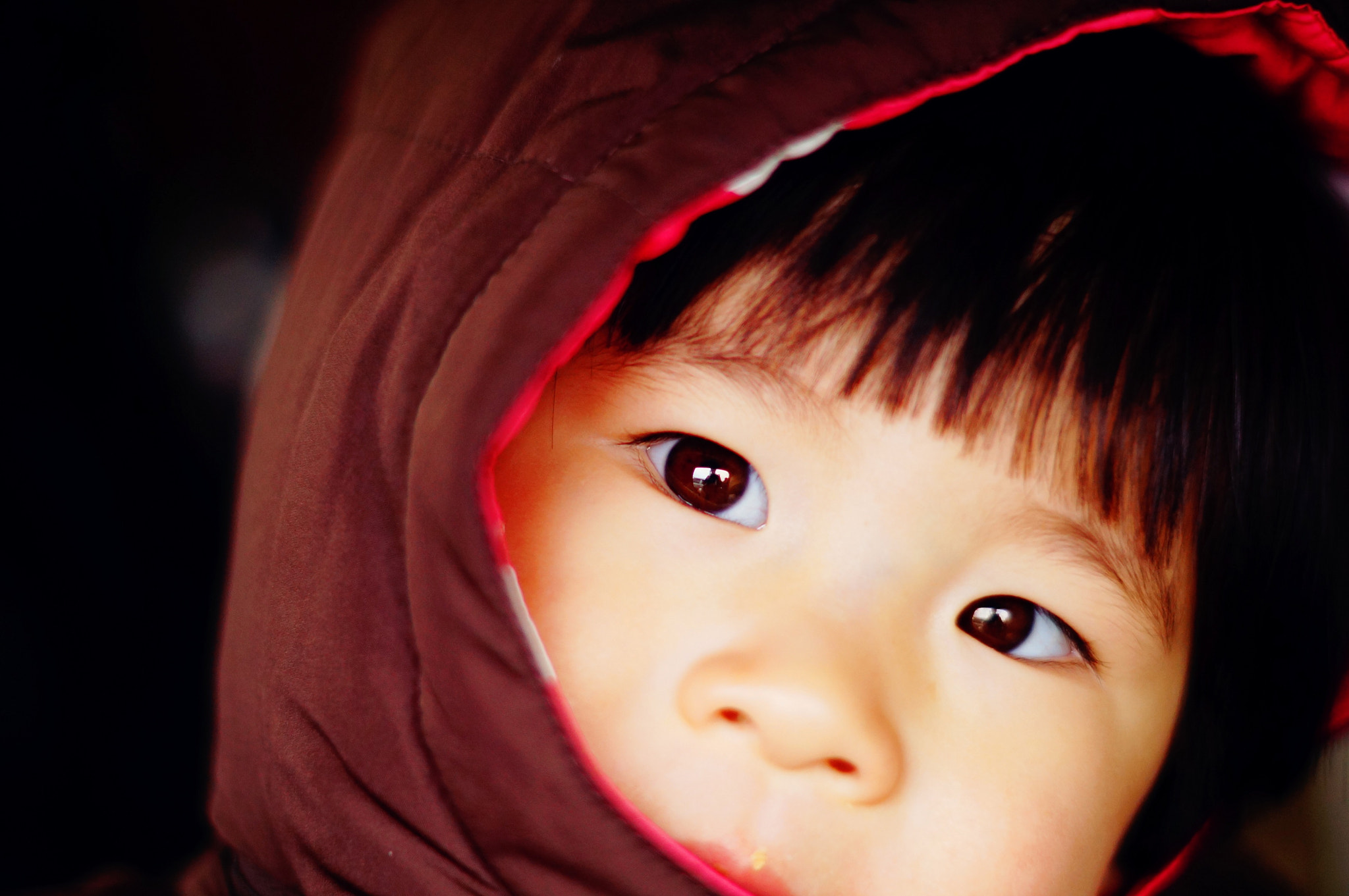 Sony SLT-A57 + Sony 50mm F1.4 sample photo. Hello,tongtong photography