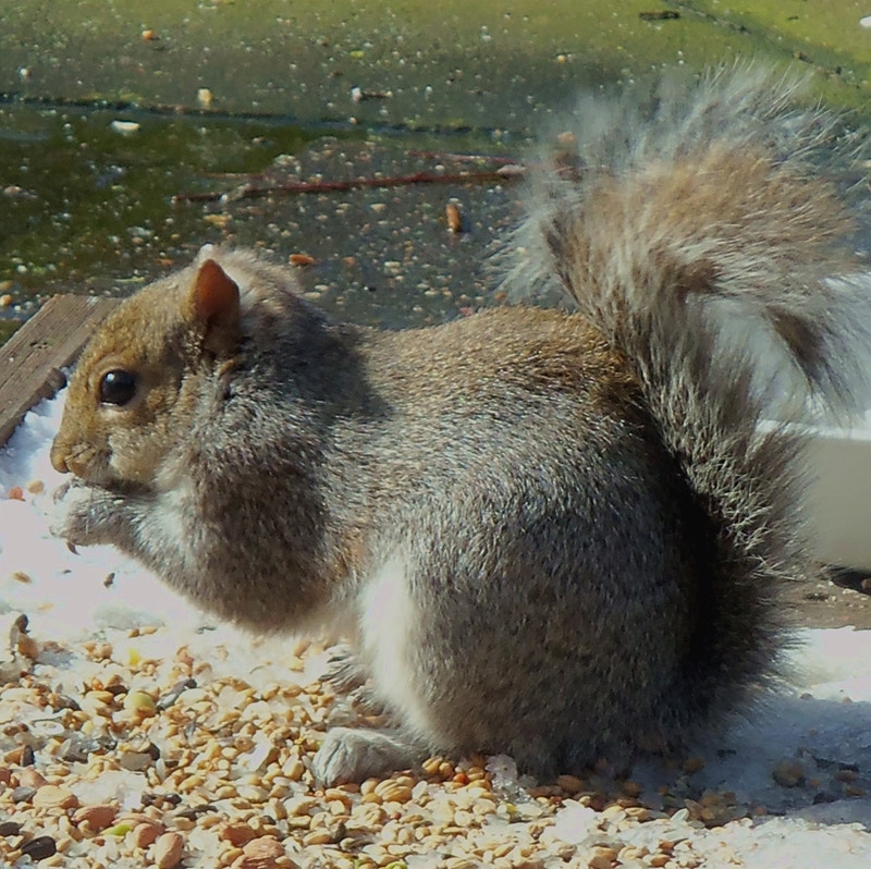 Kodak EASYSHARE M580 DIGITAL CAMERA sample photo. Tucking in! photography