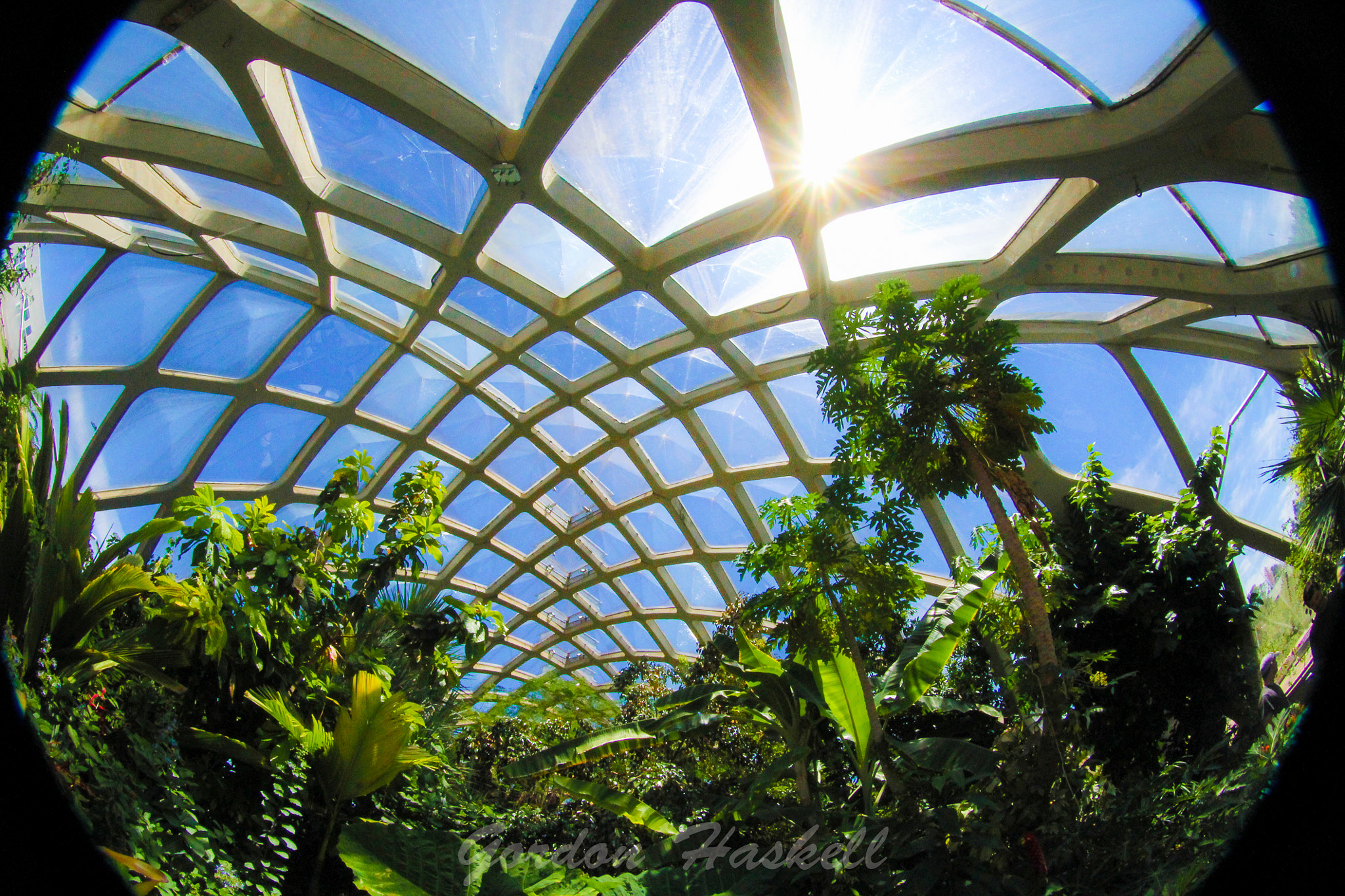 Canon EF 8-15mm F4L Fisheye USM sample photo. Welcome to the flower dome!!! photography