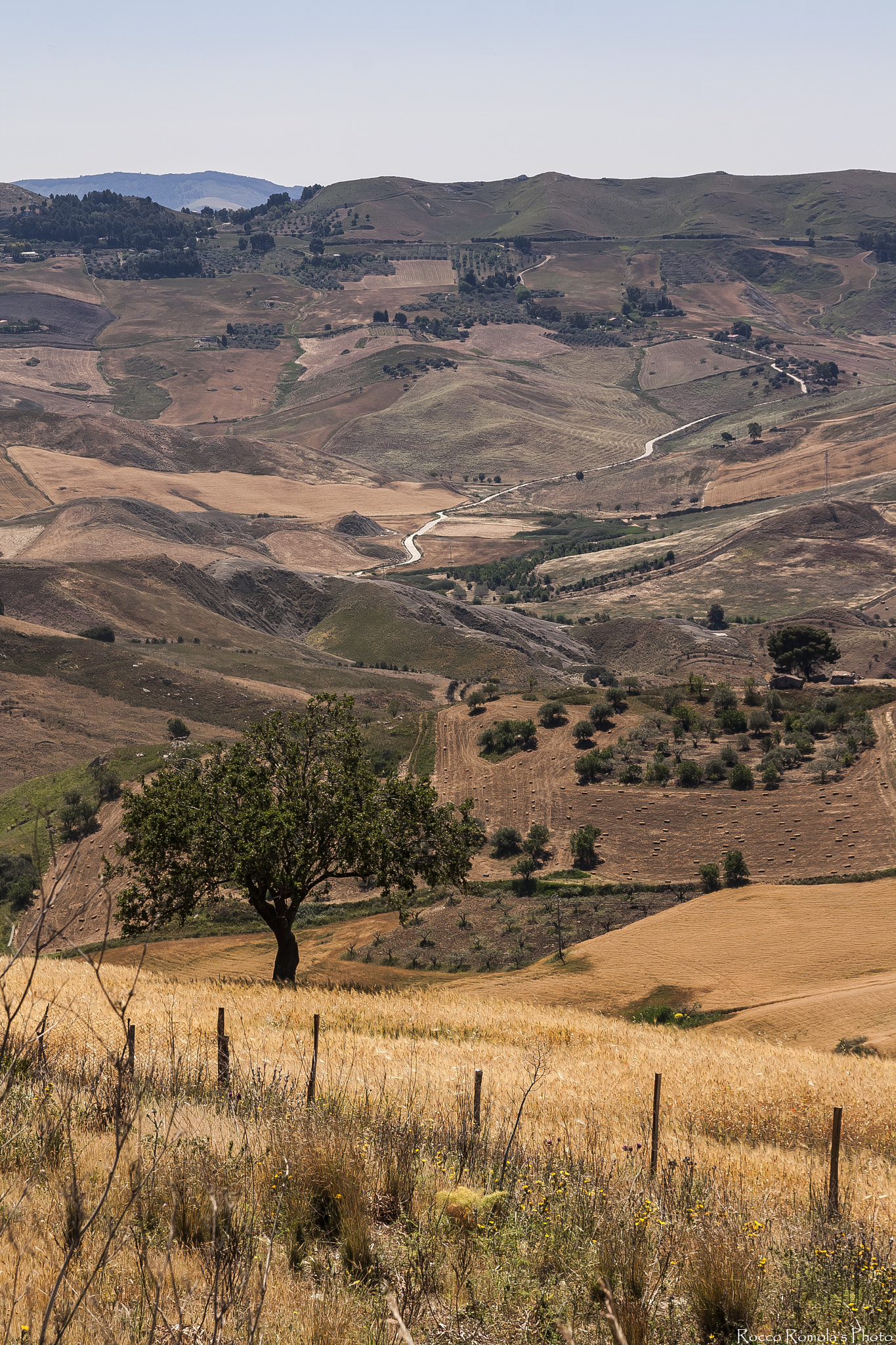 Canon EOS 1000D (EOS Digital Rebel XS / EOS Kiss F) sample photo. Field of silence photography
