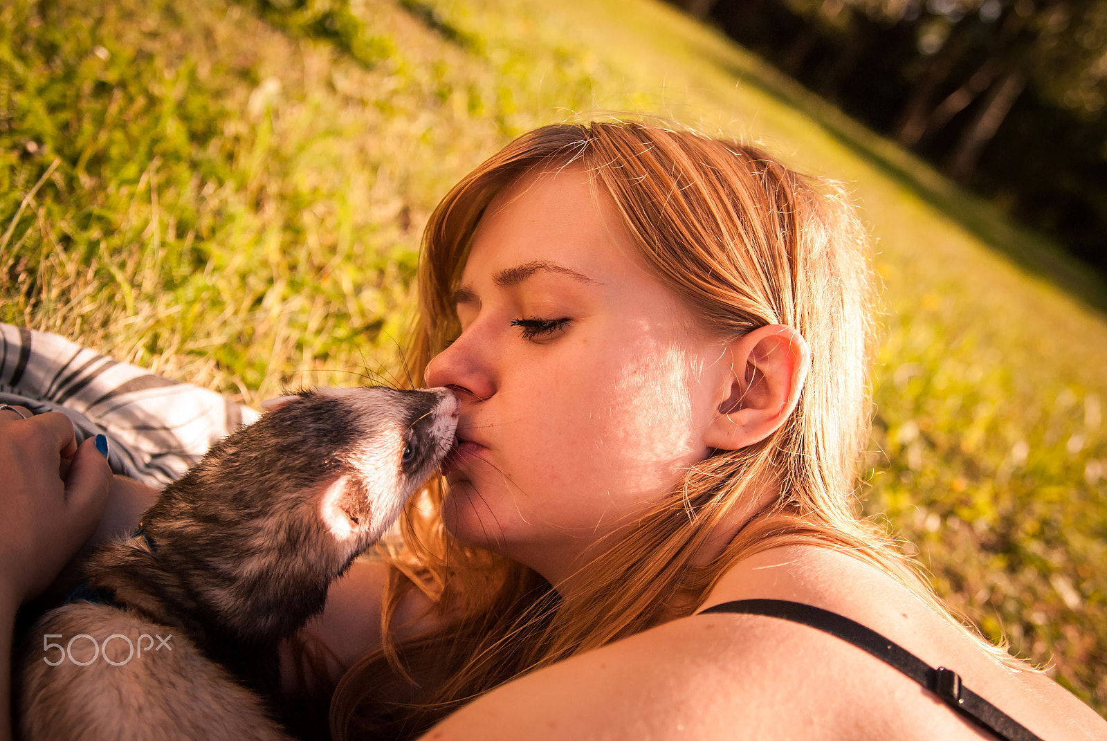 Nikon D80 + Sigma 28-70mm F2.8 EX DG sample photo. Kiss from ferret photography