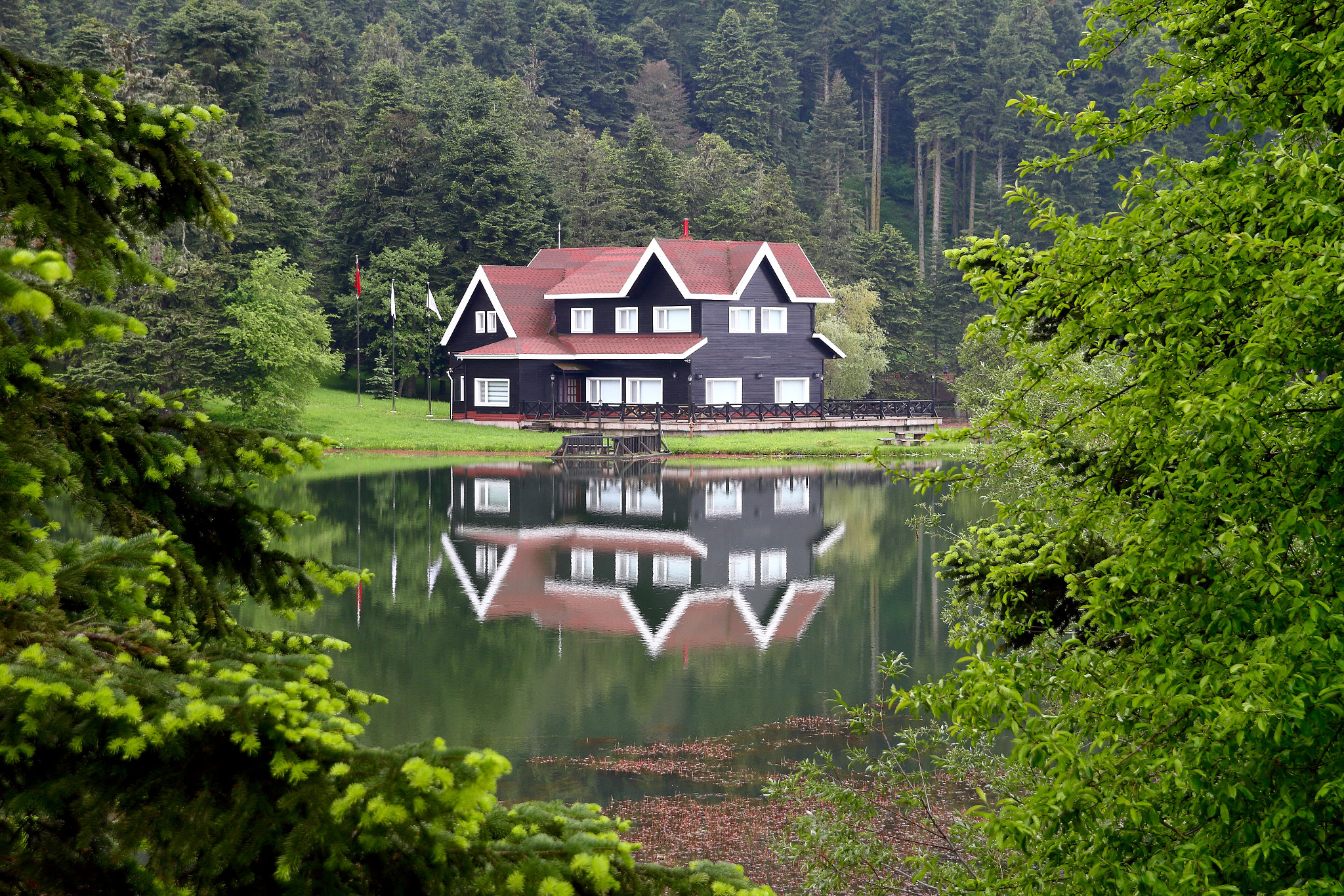 Canon 17-50mm sample photo. Lake house photography