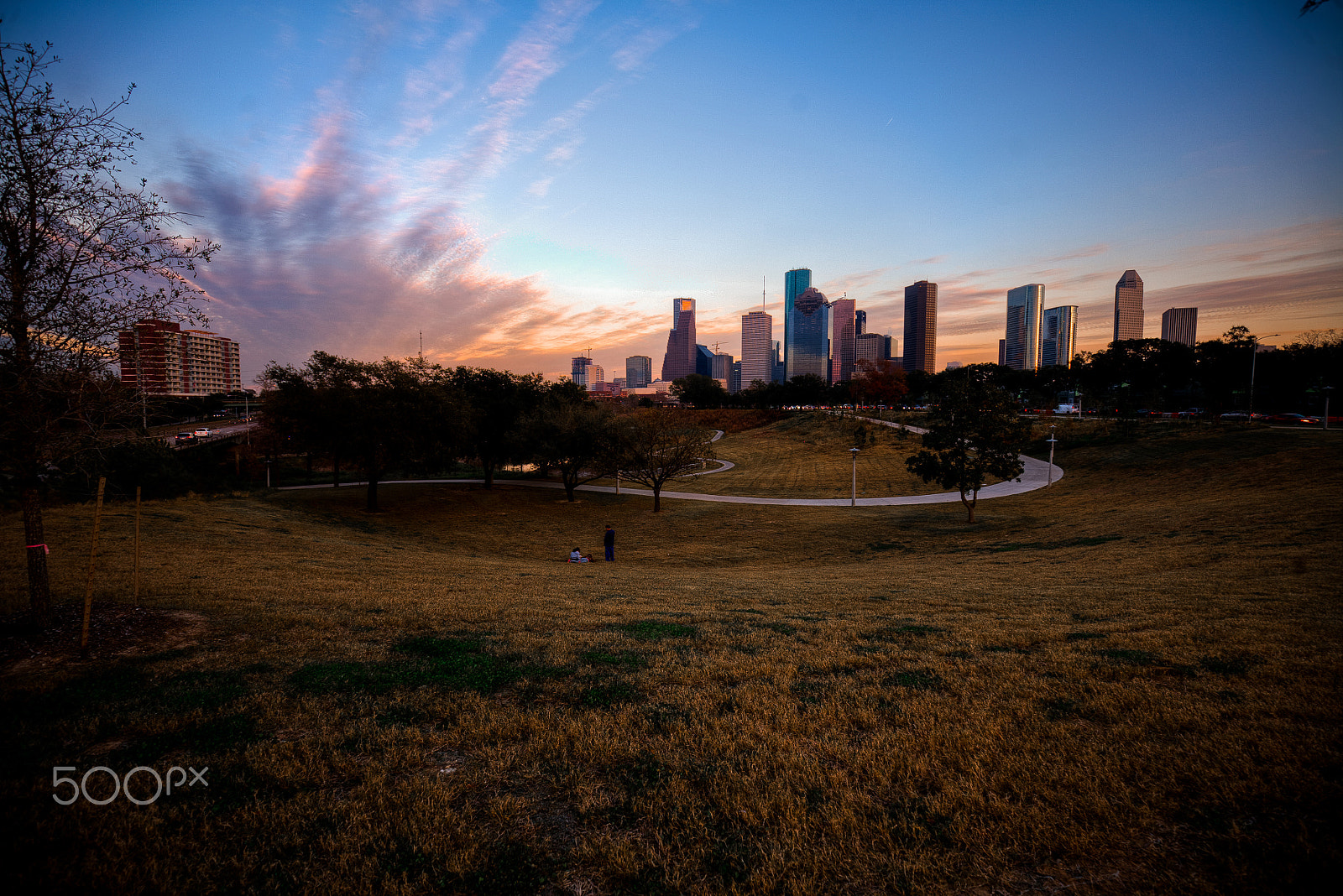 Canon EOS 5D + Canon EF 16-35mm F4L IS USM sample photo. Houston skyline from buffalo bayou park photography