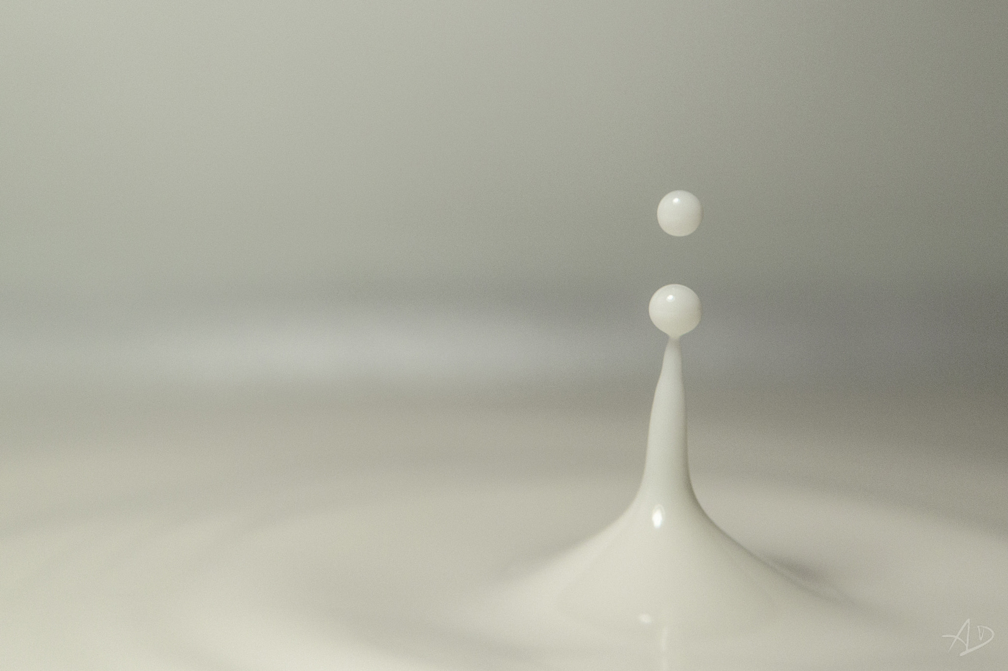 Samsung NX 20-50mm F3.5-5.6 ED sample photo. Got milk? photography