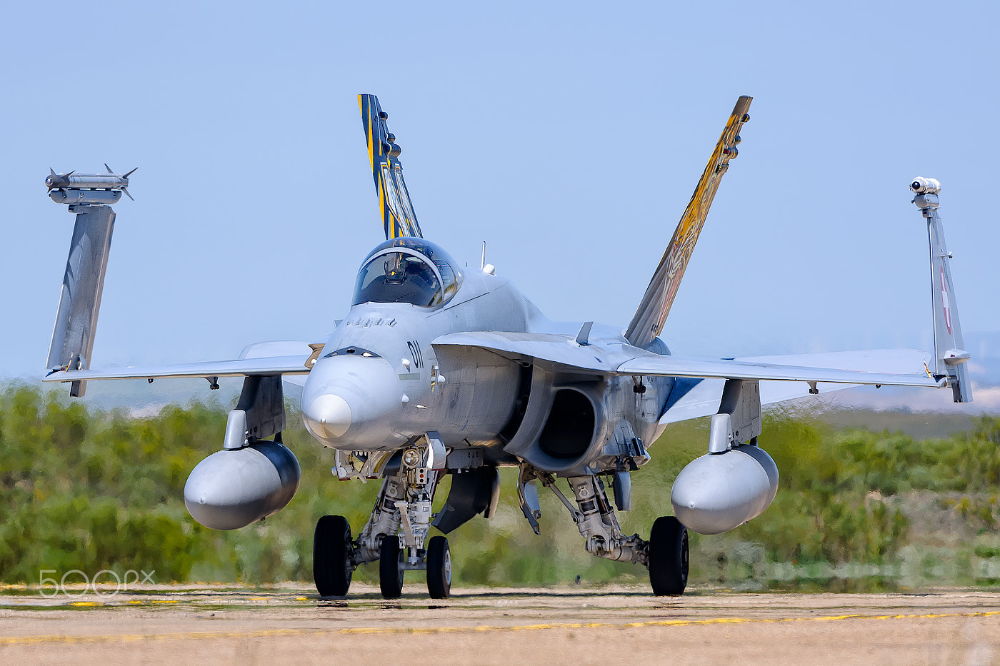Nikon D90 + Nikon AF-S Nikkor 300mm F4D ED-IF sample photo. Mcdonnell douglas f/a-18c hornet photography
