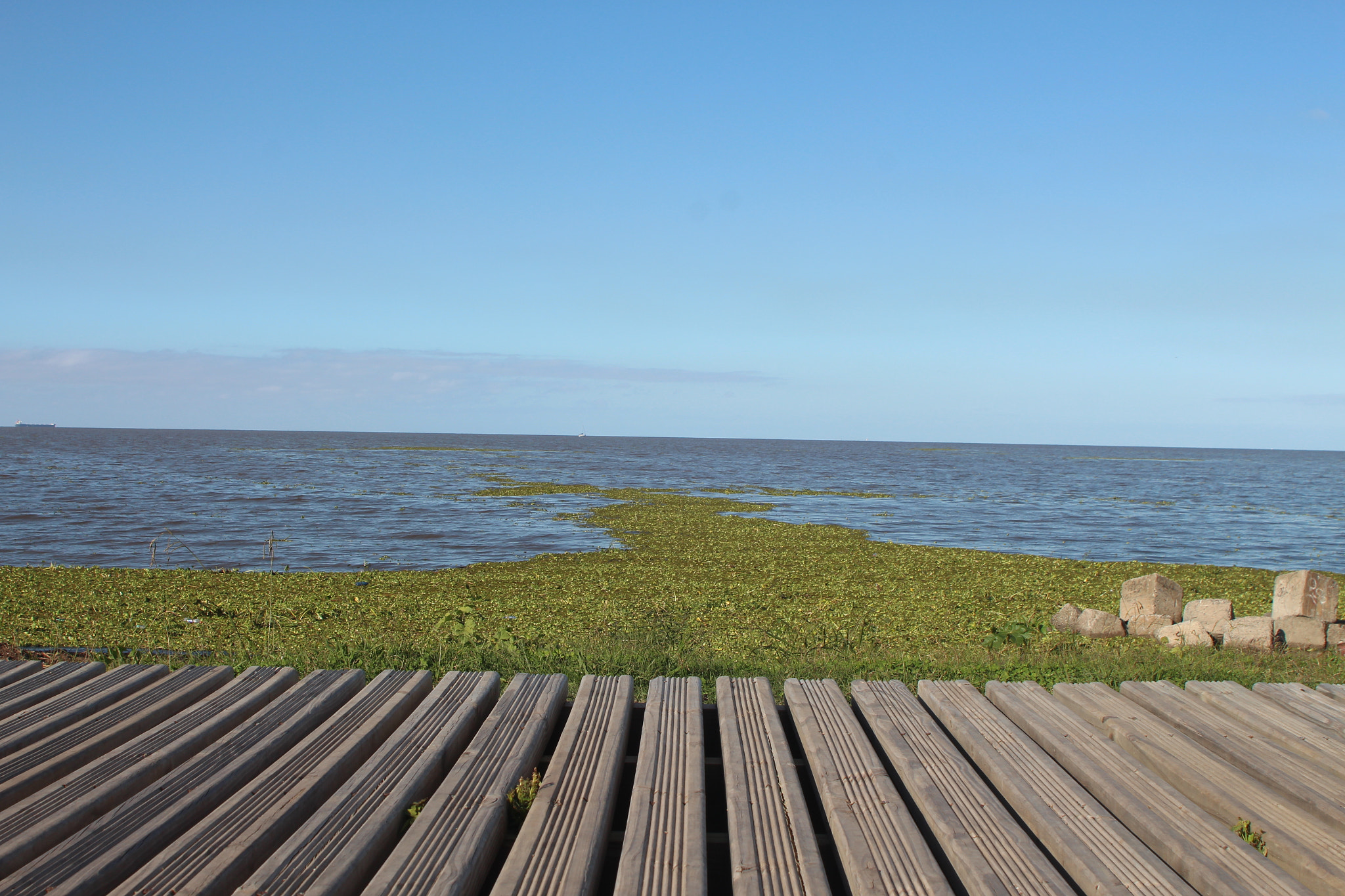Canon EF 28-105mm f/3.5-4.5 USM sample photo