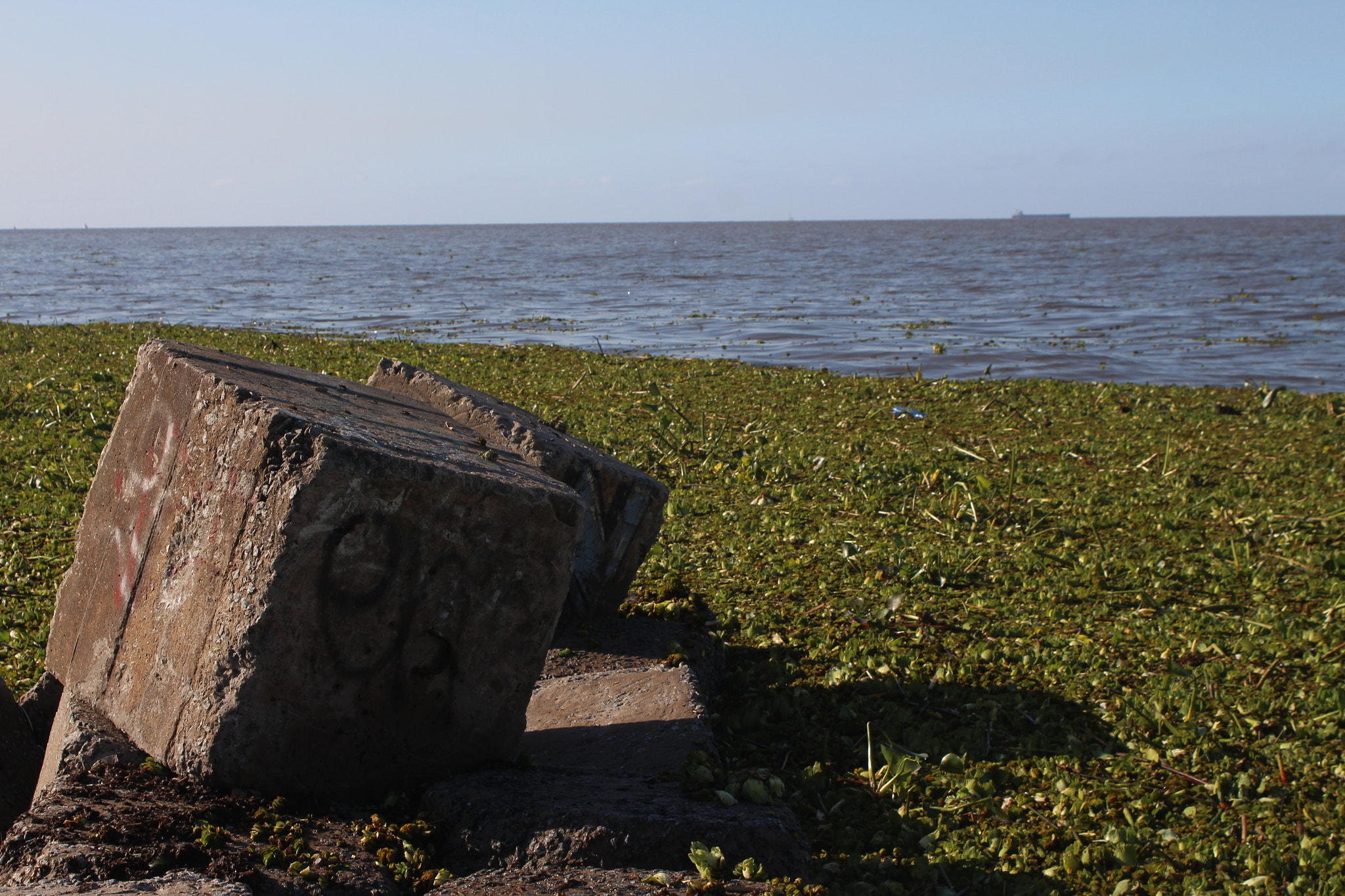 Canon EF 28-105mm f/3.5-4.5 USM sample photo. Metido entre la naturaleza photography