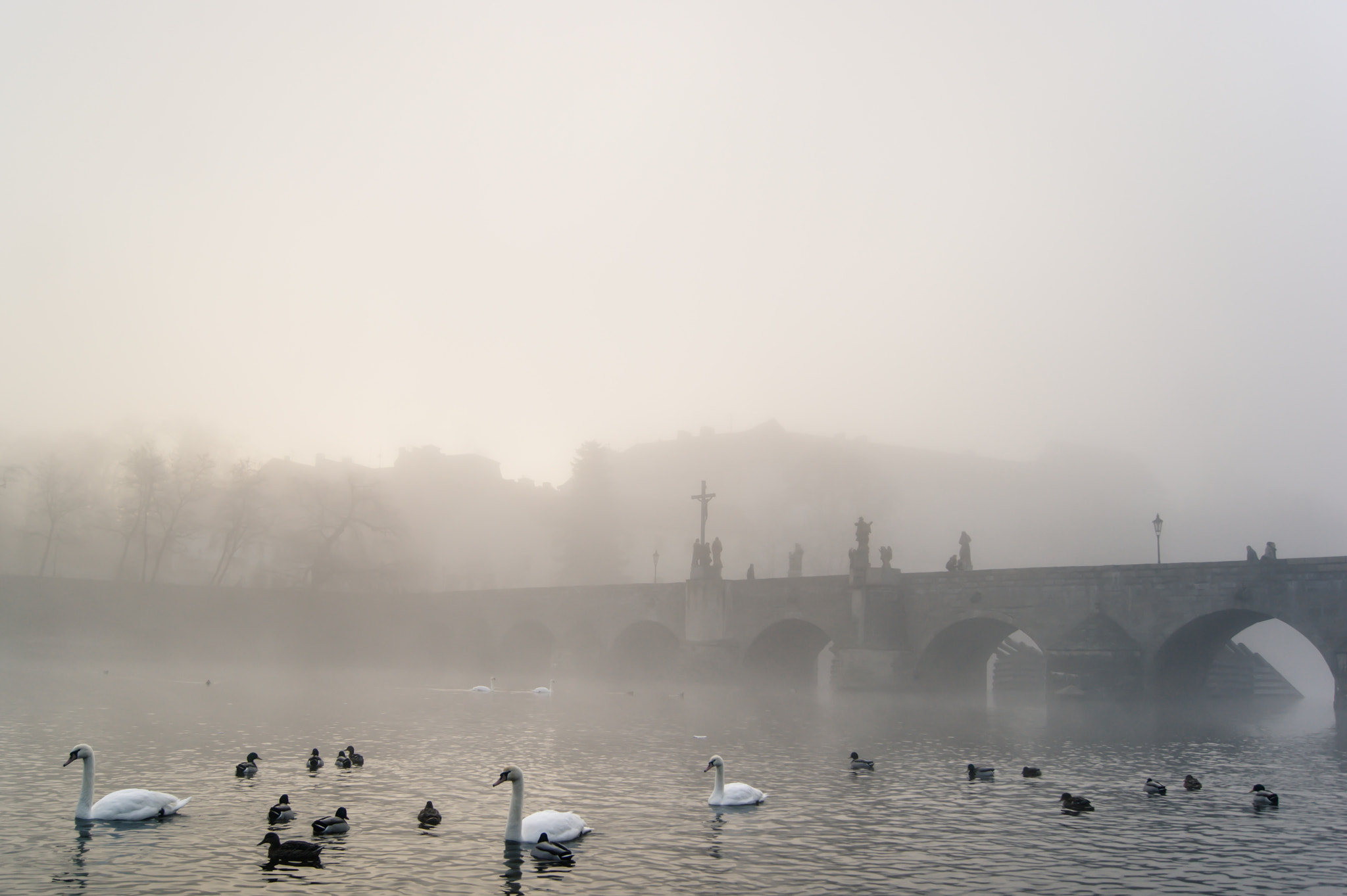 Sony Alpha DSLR-A350 + Sony DT 18-55mm F3.5-5.6 SAM sample photo. Morning mist photography