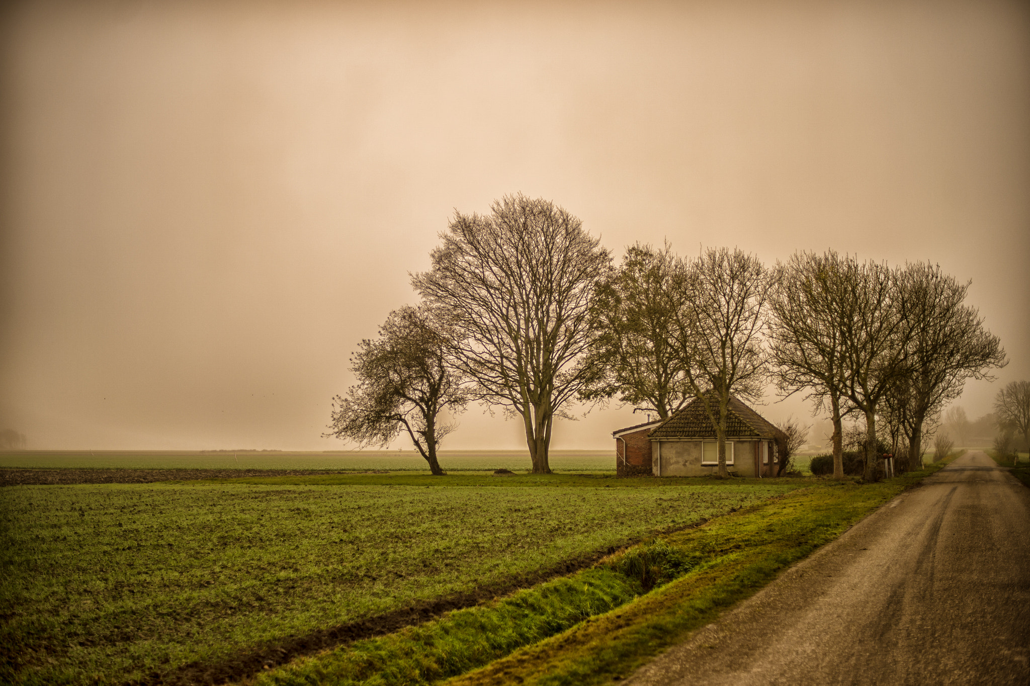 Nikon Df + Nikon AF-S Nikkor 50mm F1.4G sample photo. Dutch landscape photography