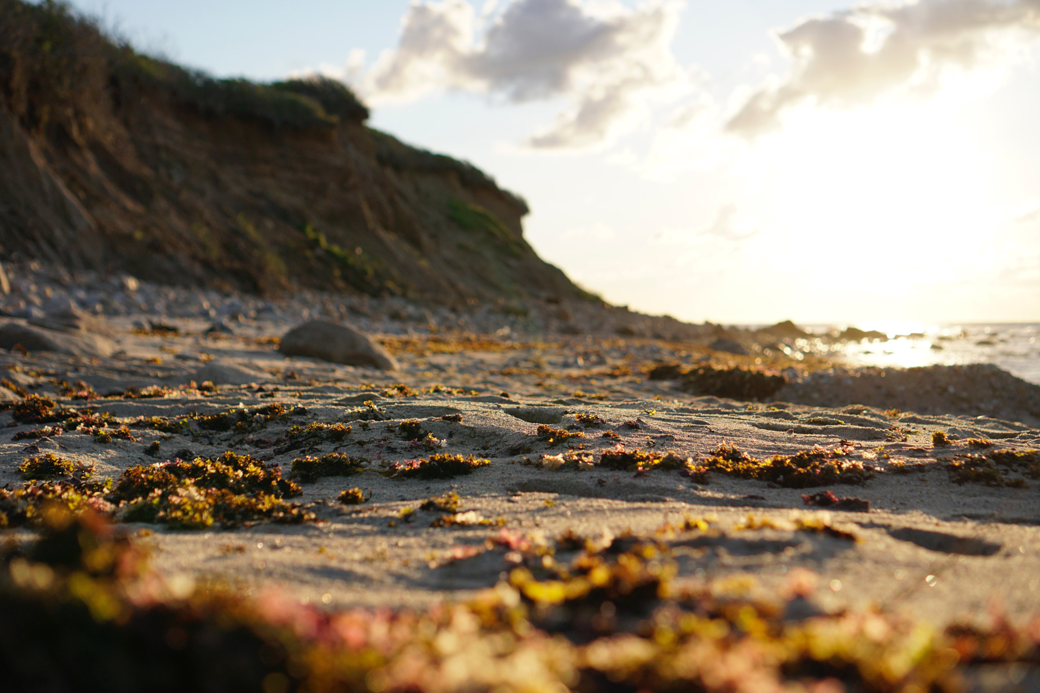 Sony a6300 + Sony E 35mm F1.8 OSS sample photo. Montauk 06 photography