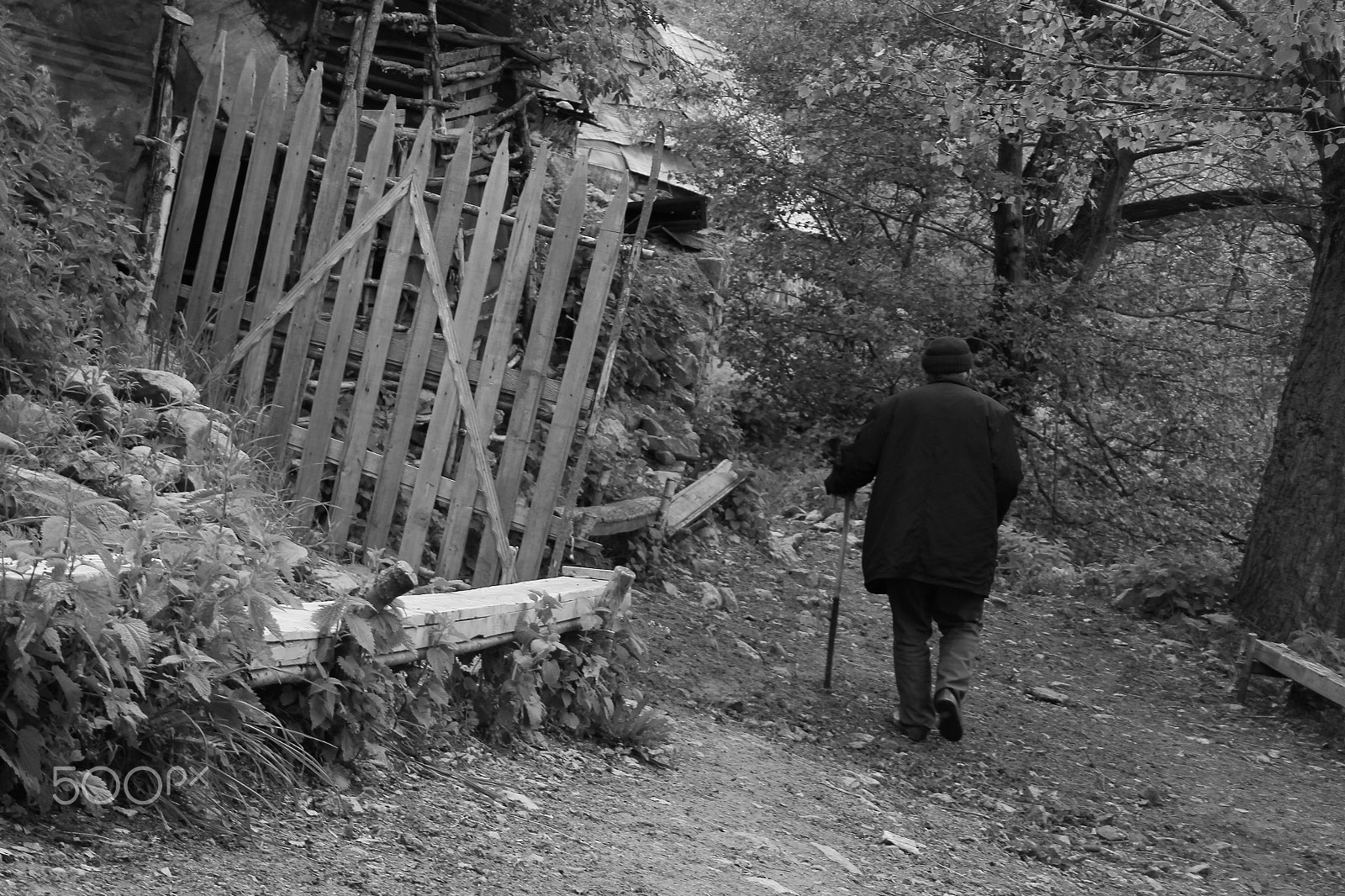Canon EOS 550D (EOS Rebel T2i / EOS Kiss X4) + Canon EF-S 18-55mm F3.5-5.6 sample photo. Lonely old man photography