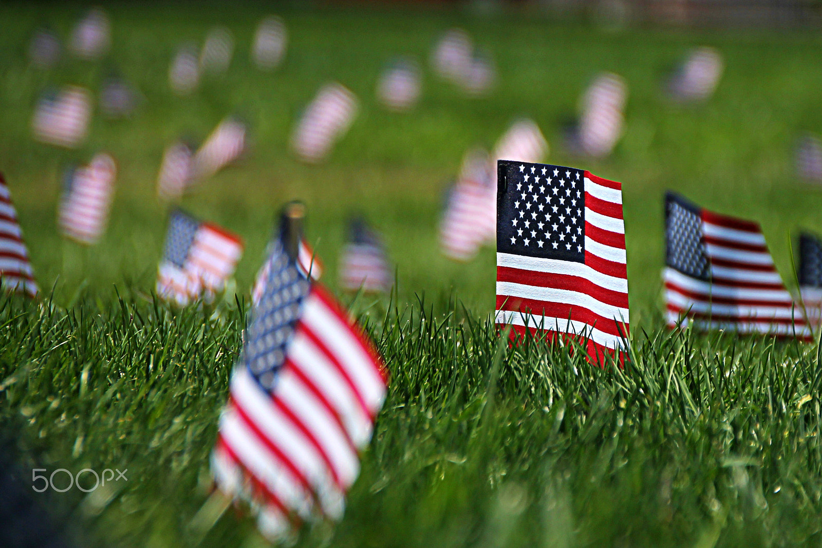 Canon EOS 1100D (EOS Rebel T3 / EOS Kiss X50) sample photo. Memorial day photography